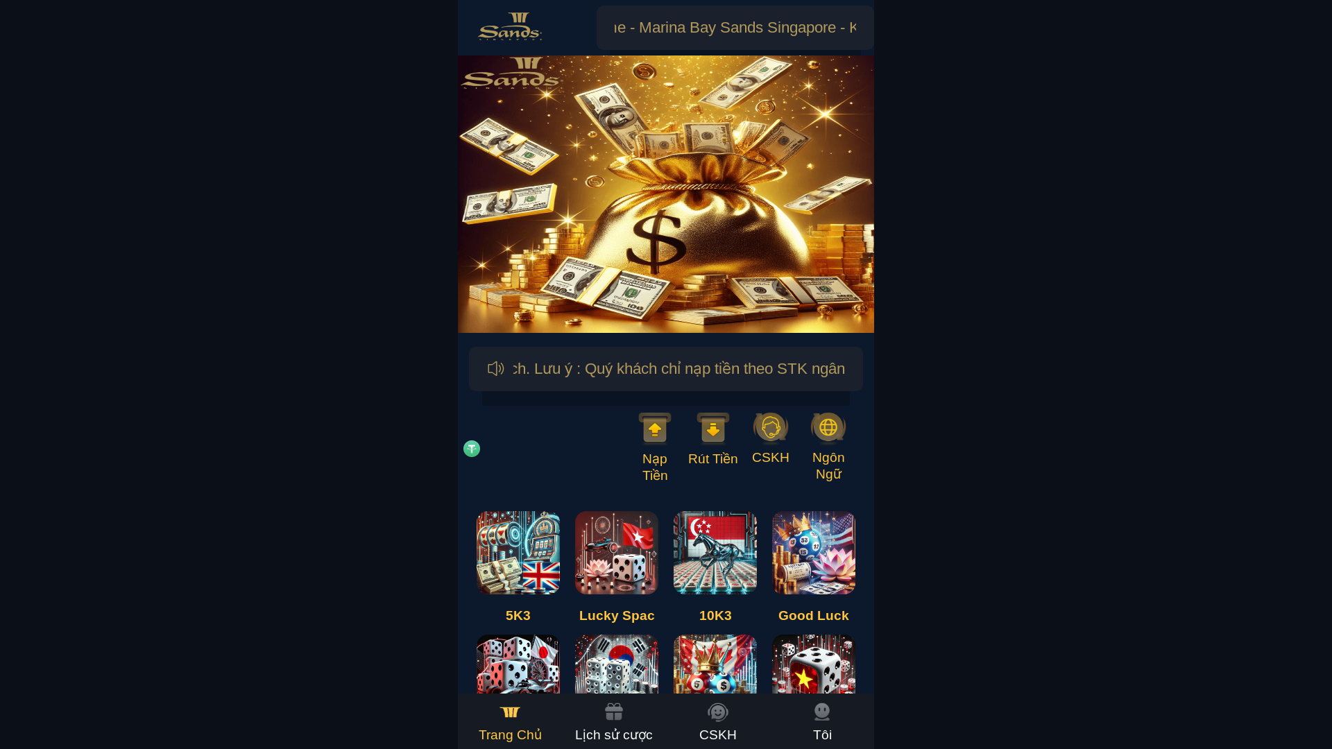 website screenshot of https://intl-mb-sands.com/