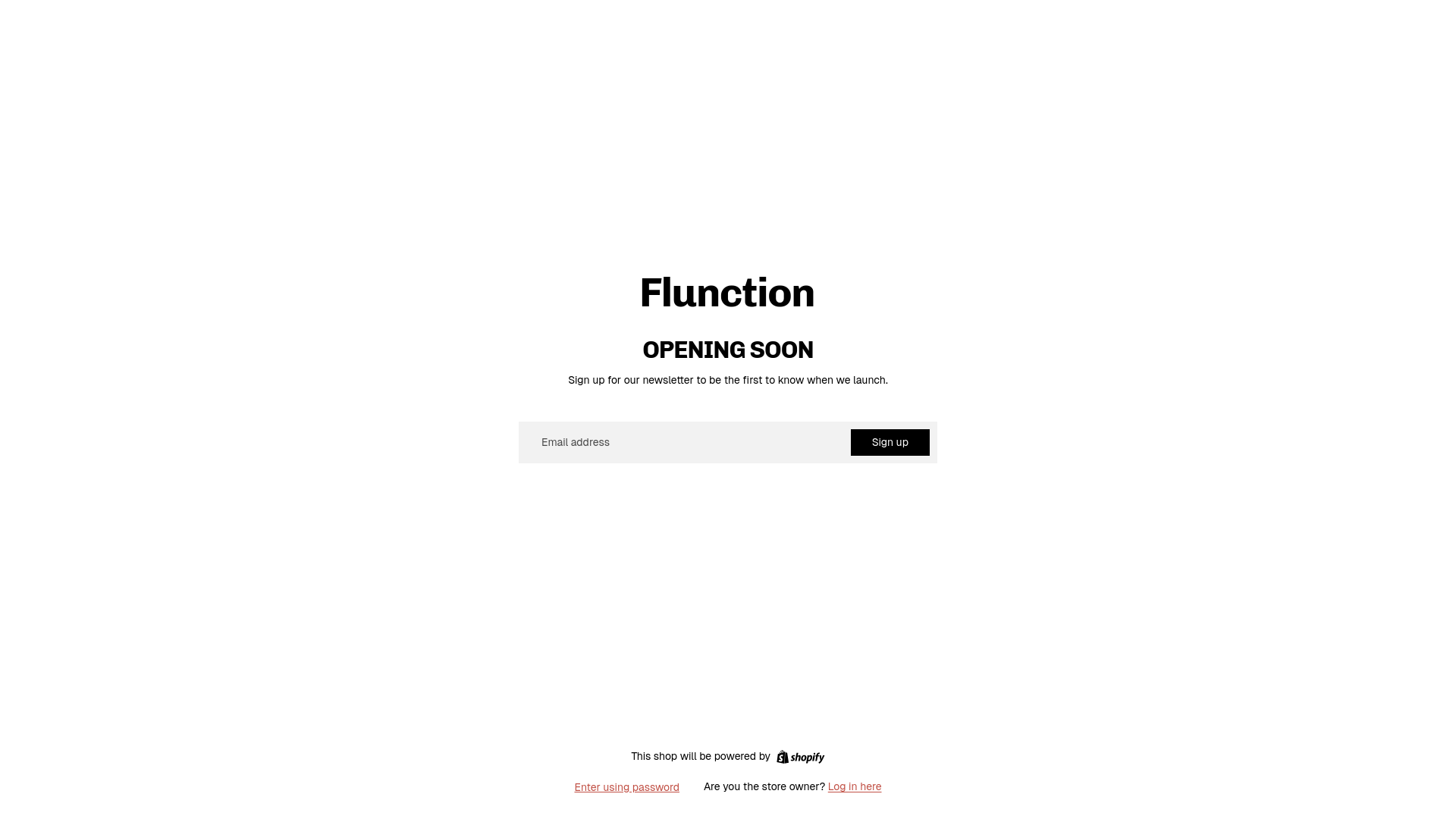 website screenshot of https://flunction.store/