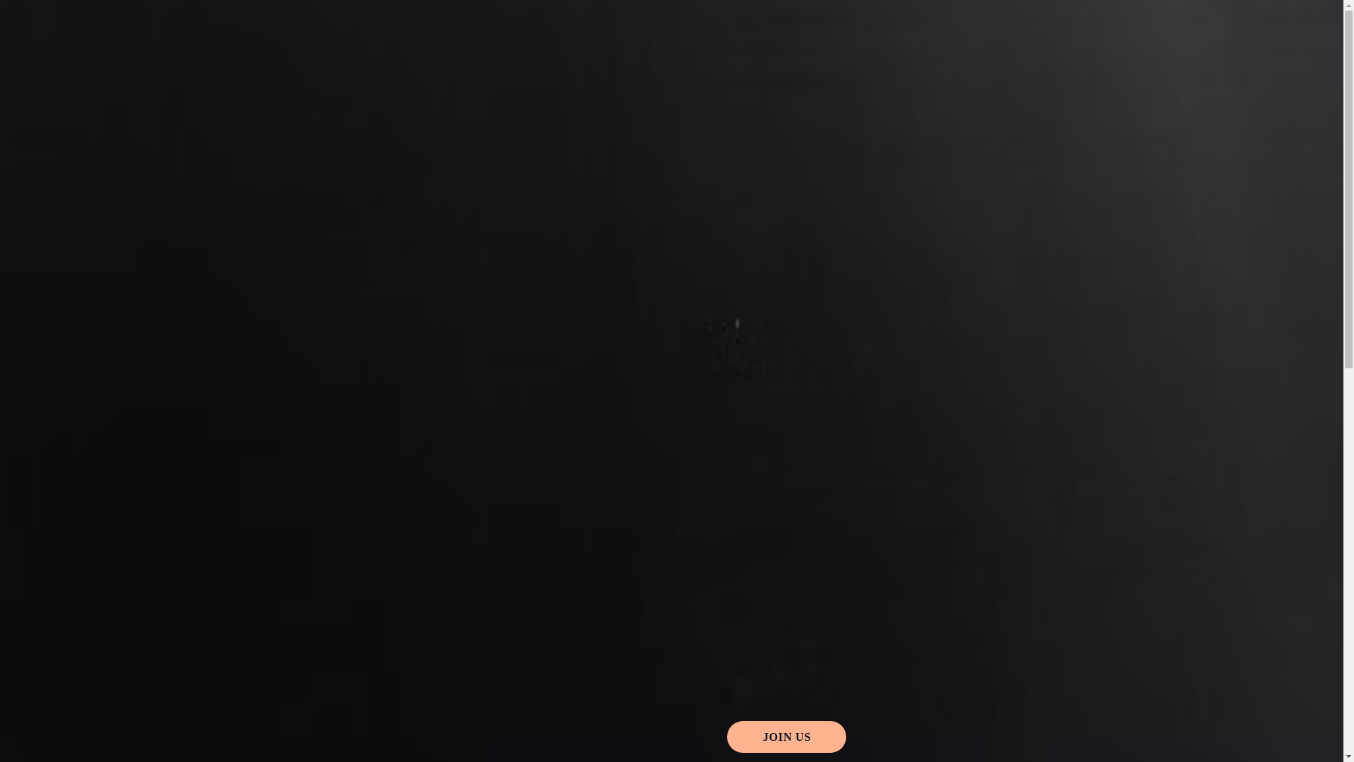 website screenshot of https://littlestillsociety.com/