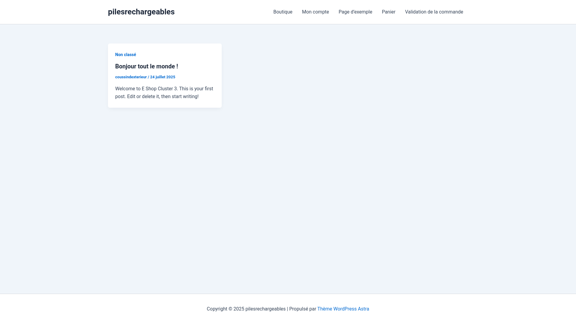 website screenshot of https://pilesrechargeables.com/