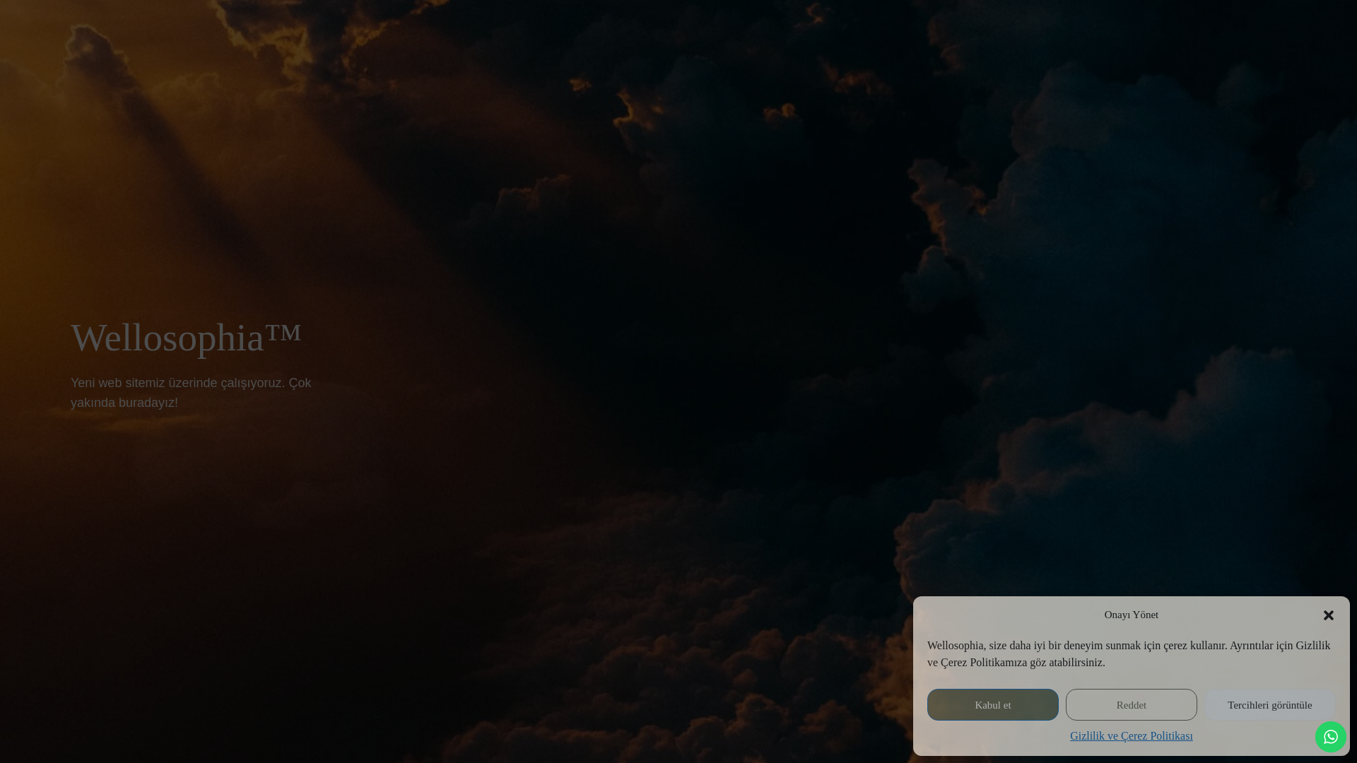 website screenshot of https://wellosophia.com/