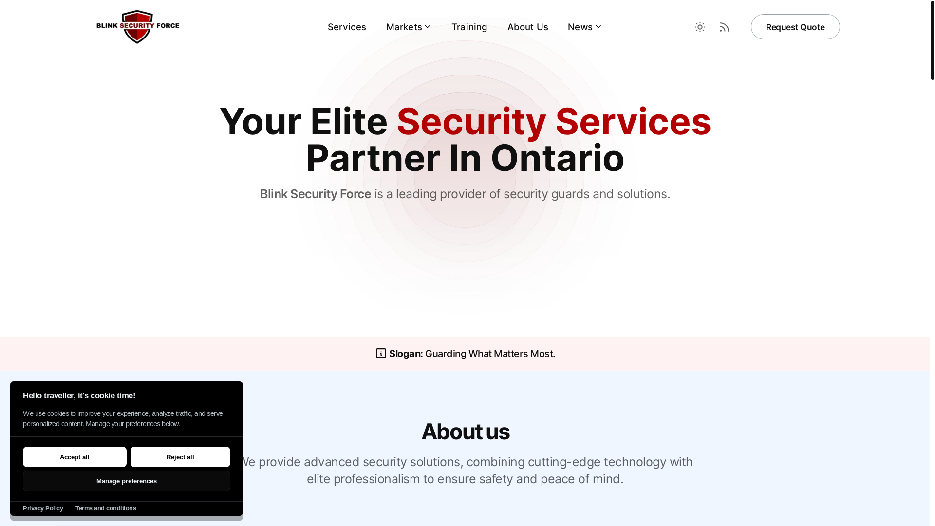 website screenshot of https://blinkvigilance.com/