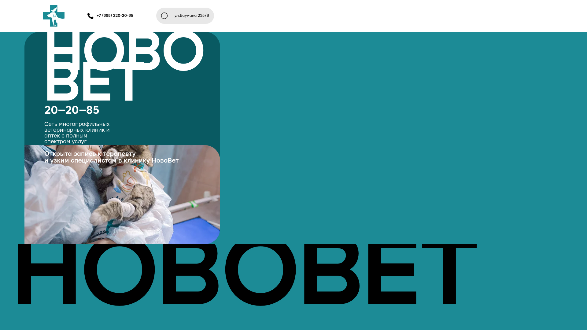 website screenshot of https://novovetirk.ru/