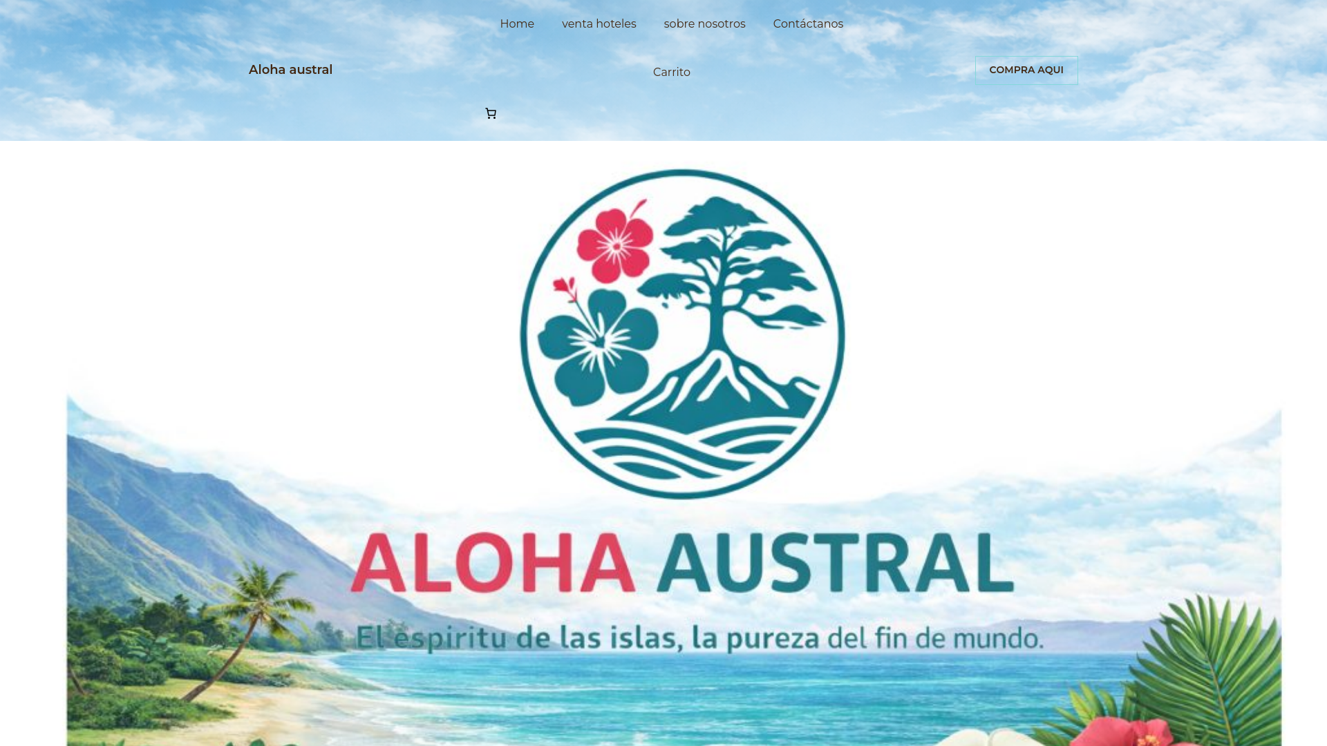 website screenshot of https://alohaaustral.cl/