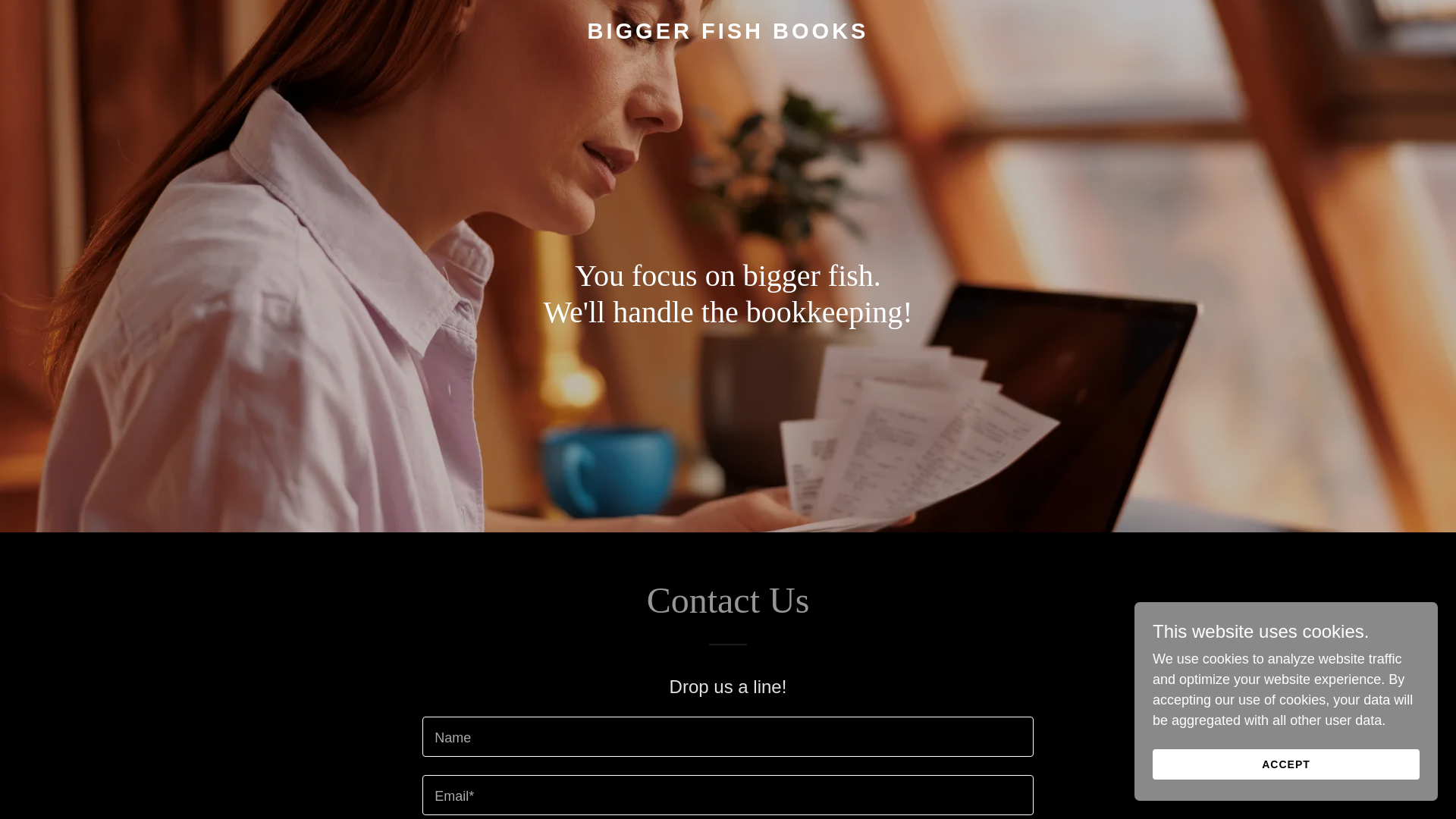 website screenshot of https://biggerfishbooks.com/