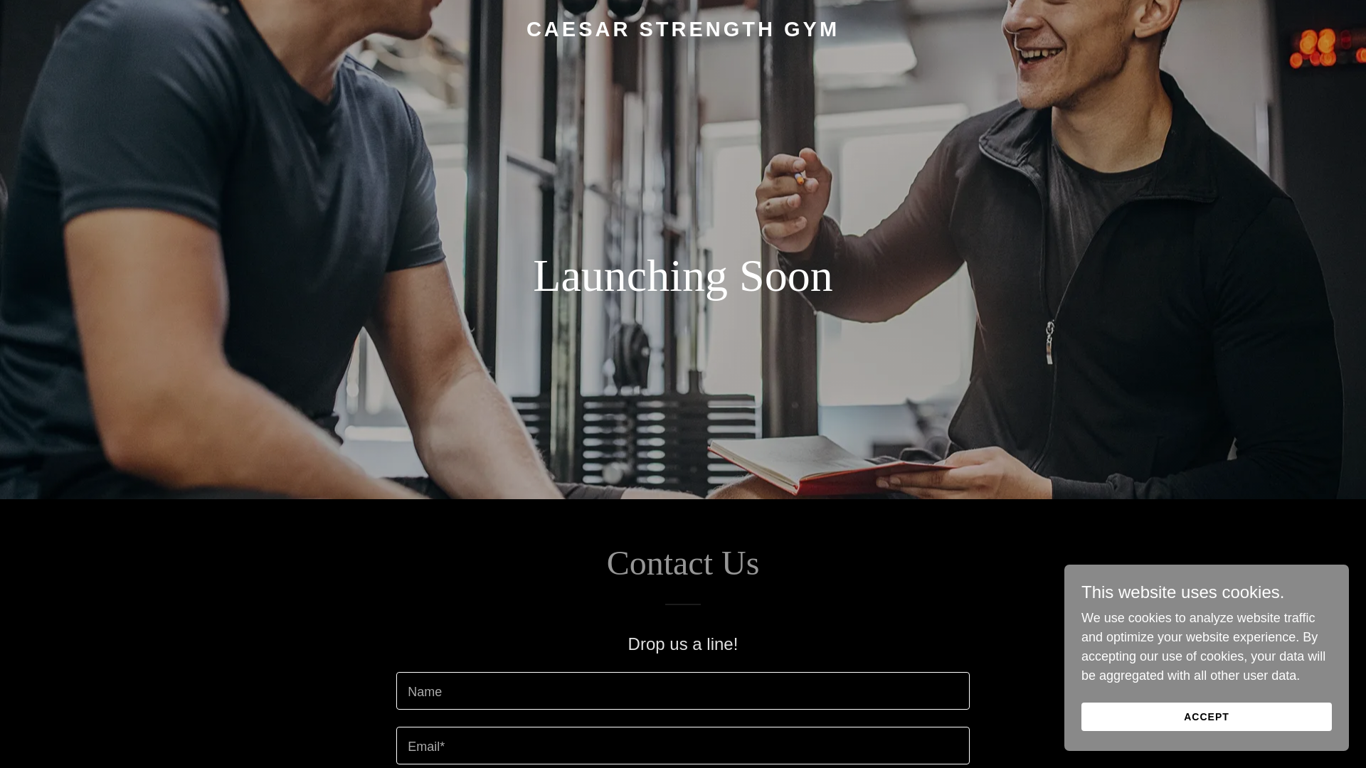 website screenshot of https://caesarstrength.com