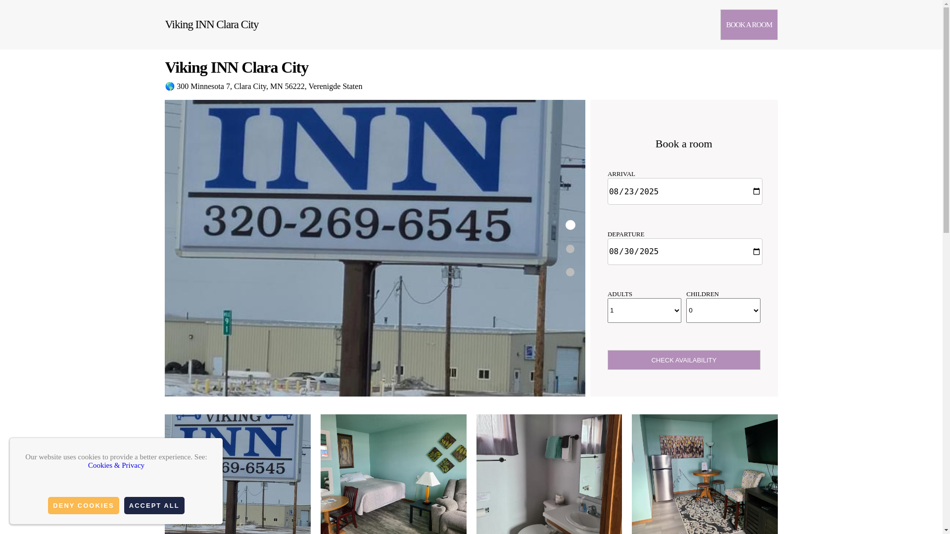 website screenshot of https://viking-inn.com.es/
