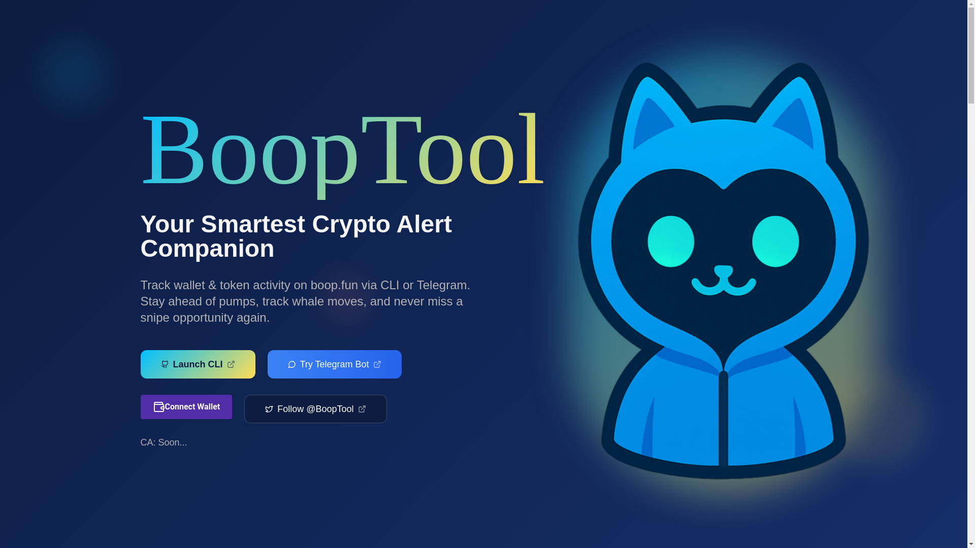 website screenshot of https://booptool.xyz/