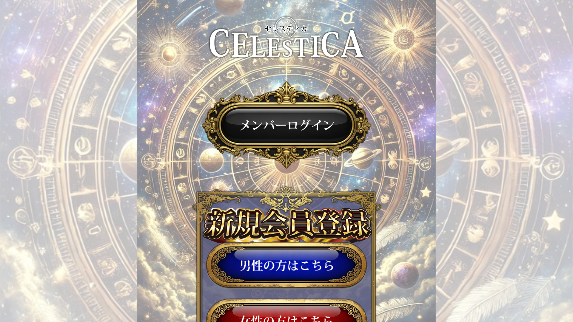 website screenshot of https://seles-lightning.com