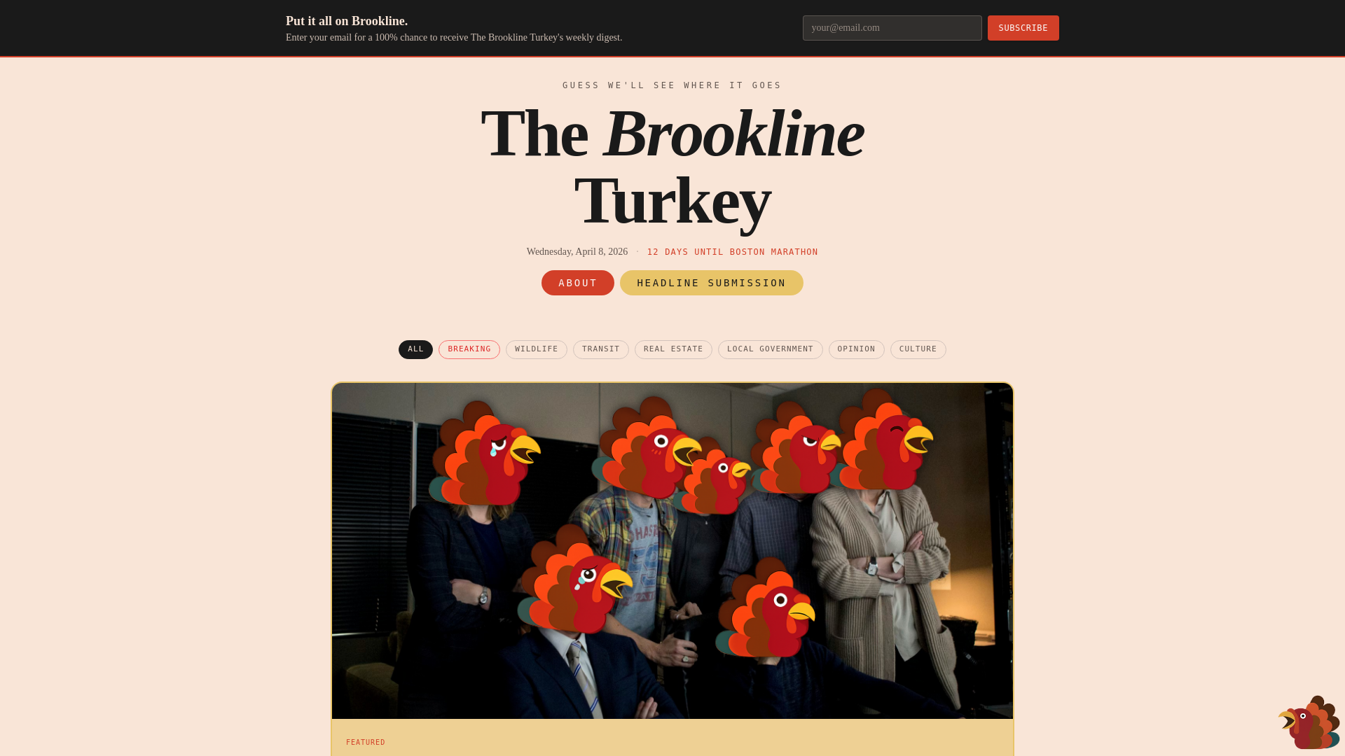 website screenshot of https://thebrooklineturkey.com