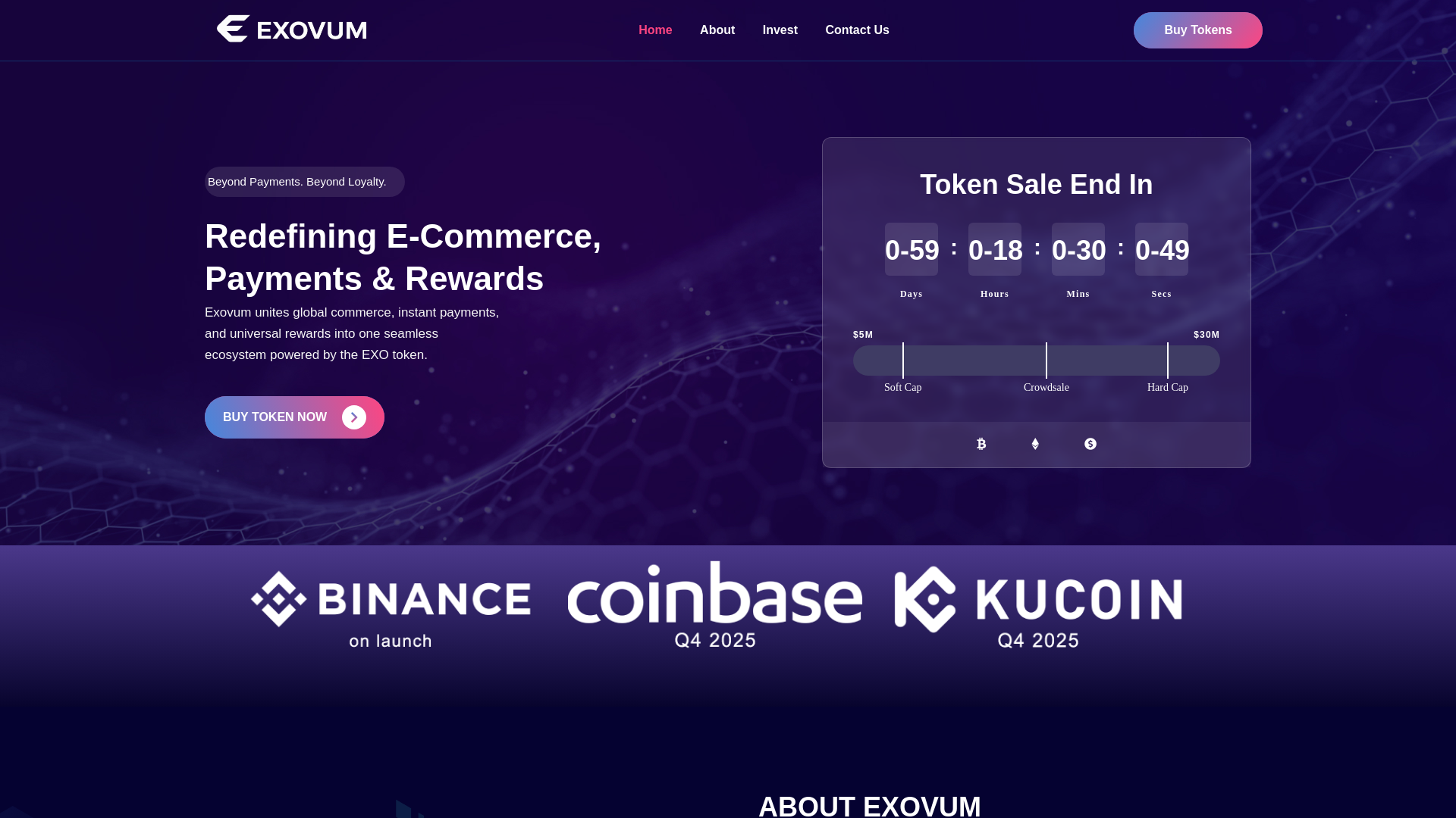 website screenshot of https://exovum.site/