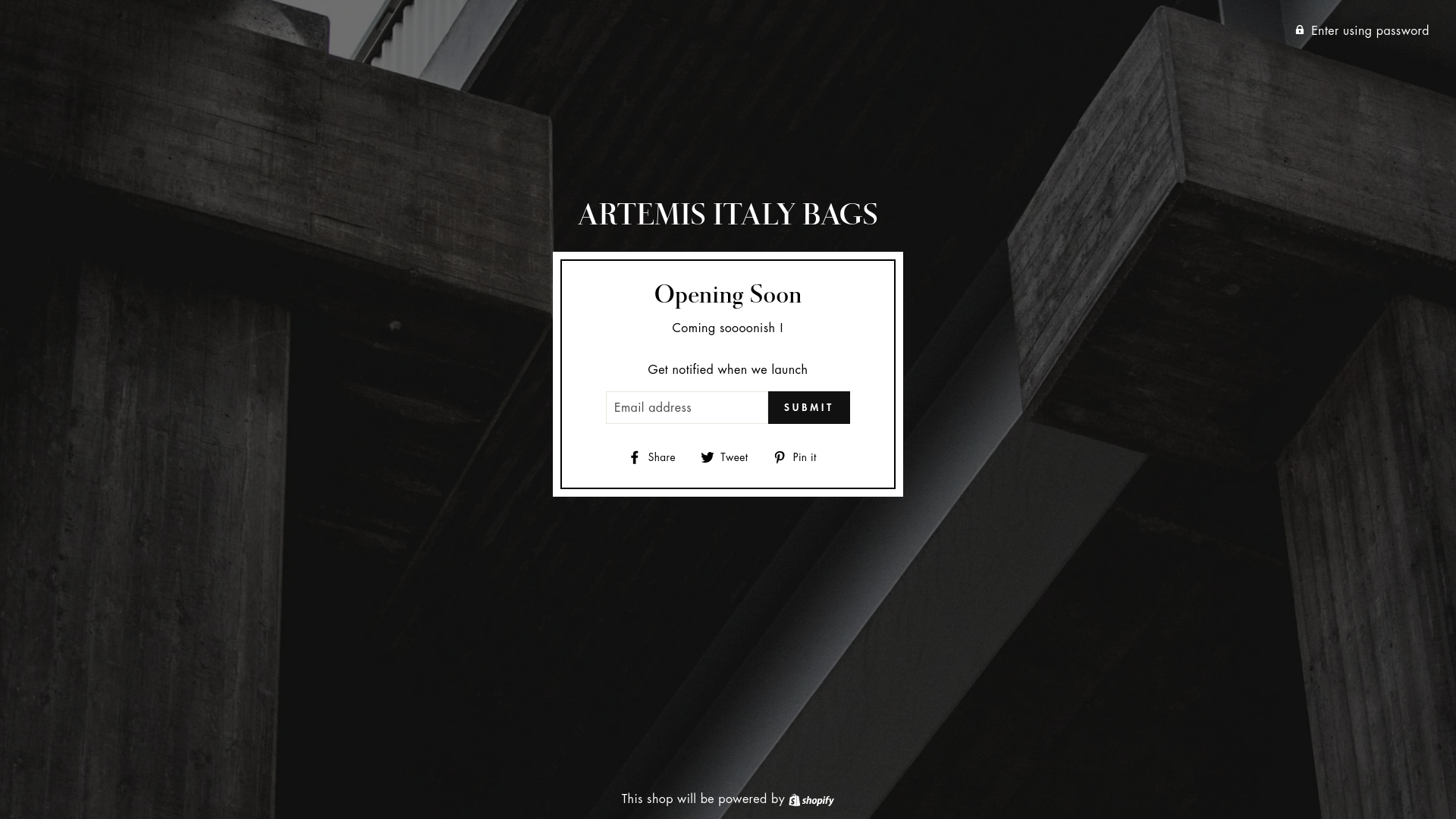 website screenshot of https://artemisitalybags.it/