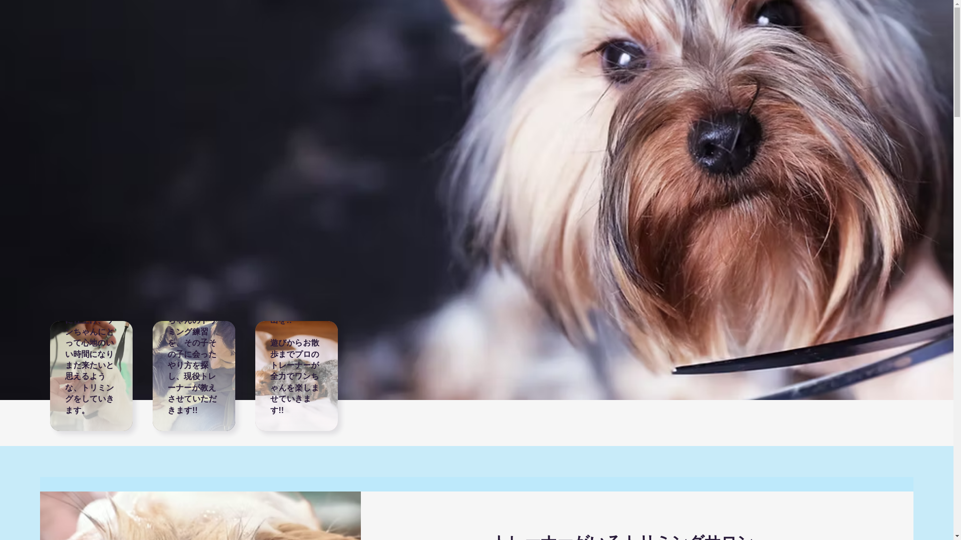 website screenshot of https://trimmingsalon-stella.com/