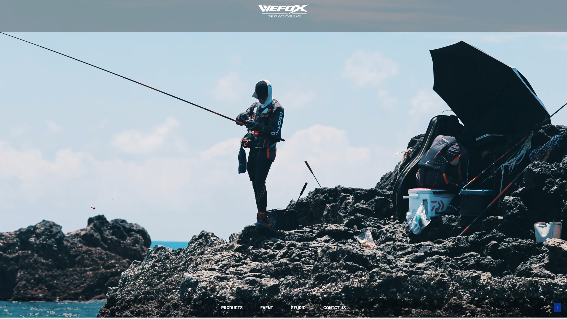 website screenshot of https://fishing-wefox.com/