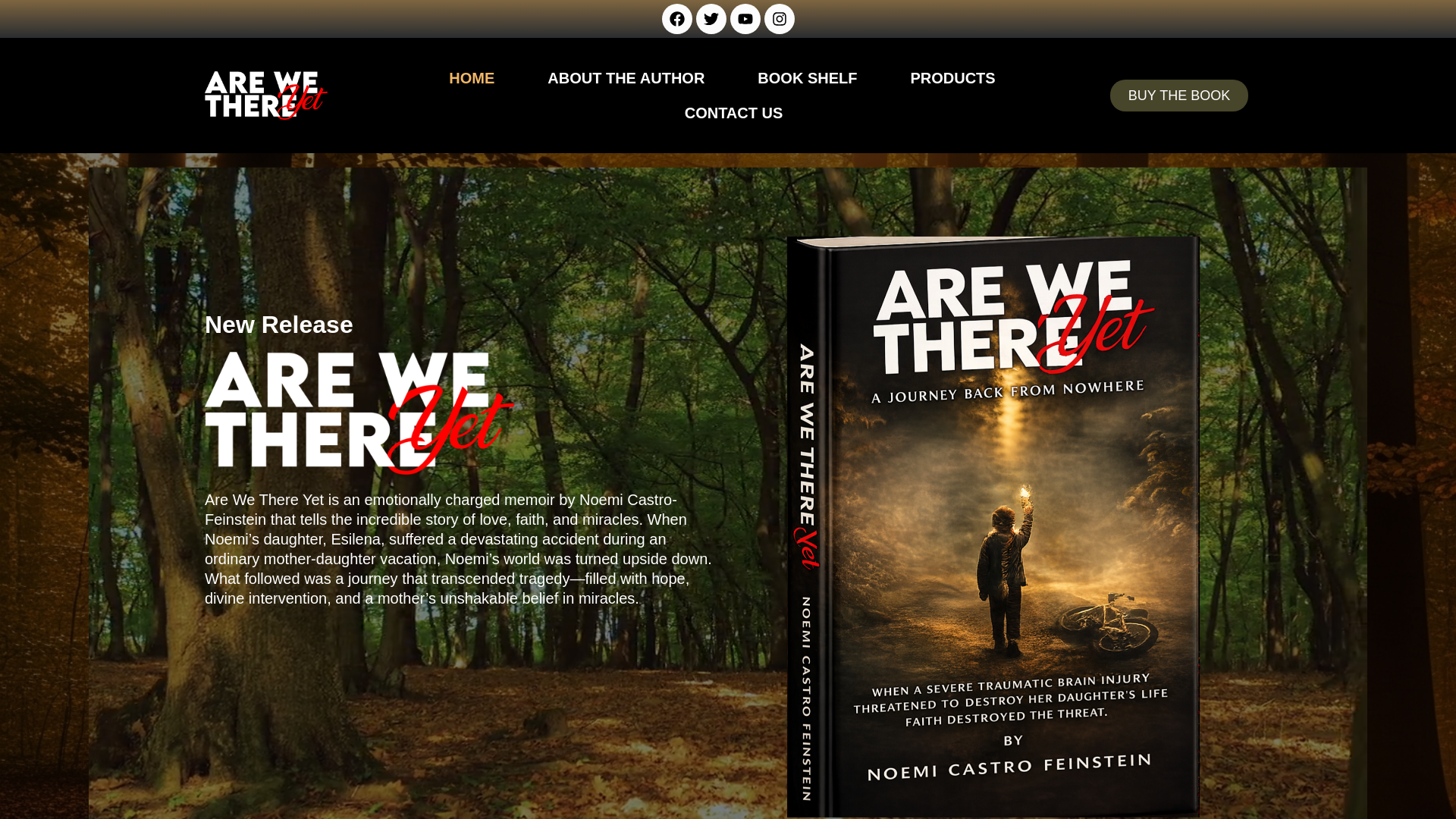 website screenshot of https://noemicastrofeinstein.com/