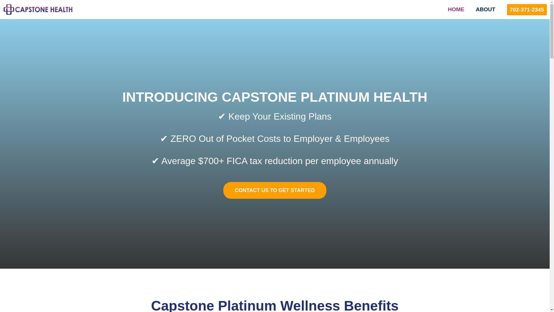 website screenshot of https://platinum-capstone.pages.dev/