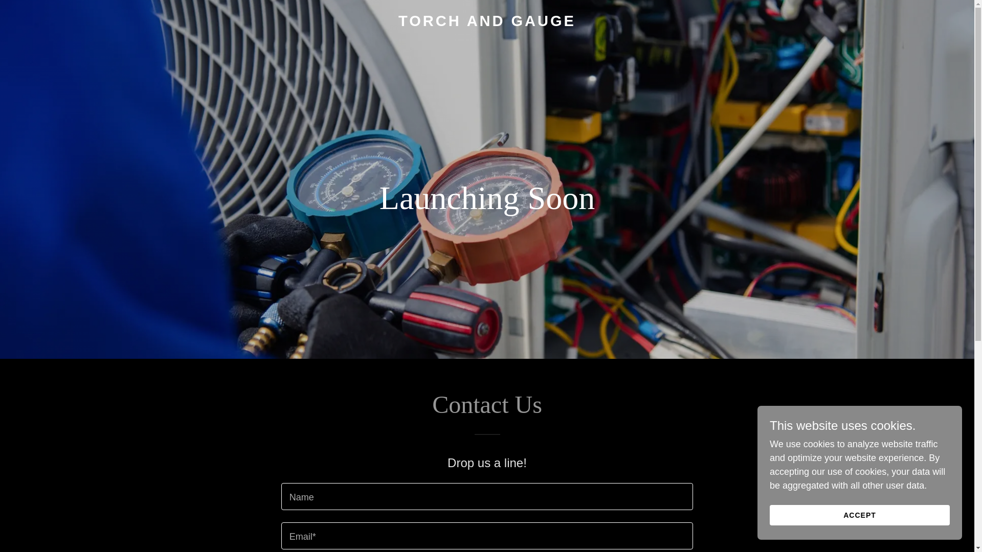 website screenshot of https://torchngauge.com/