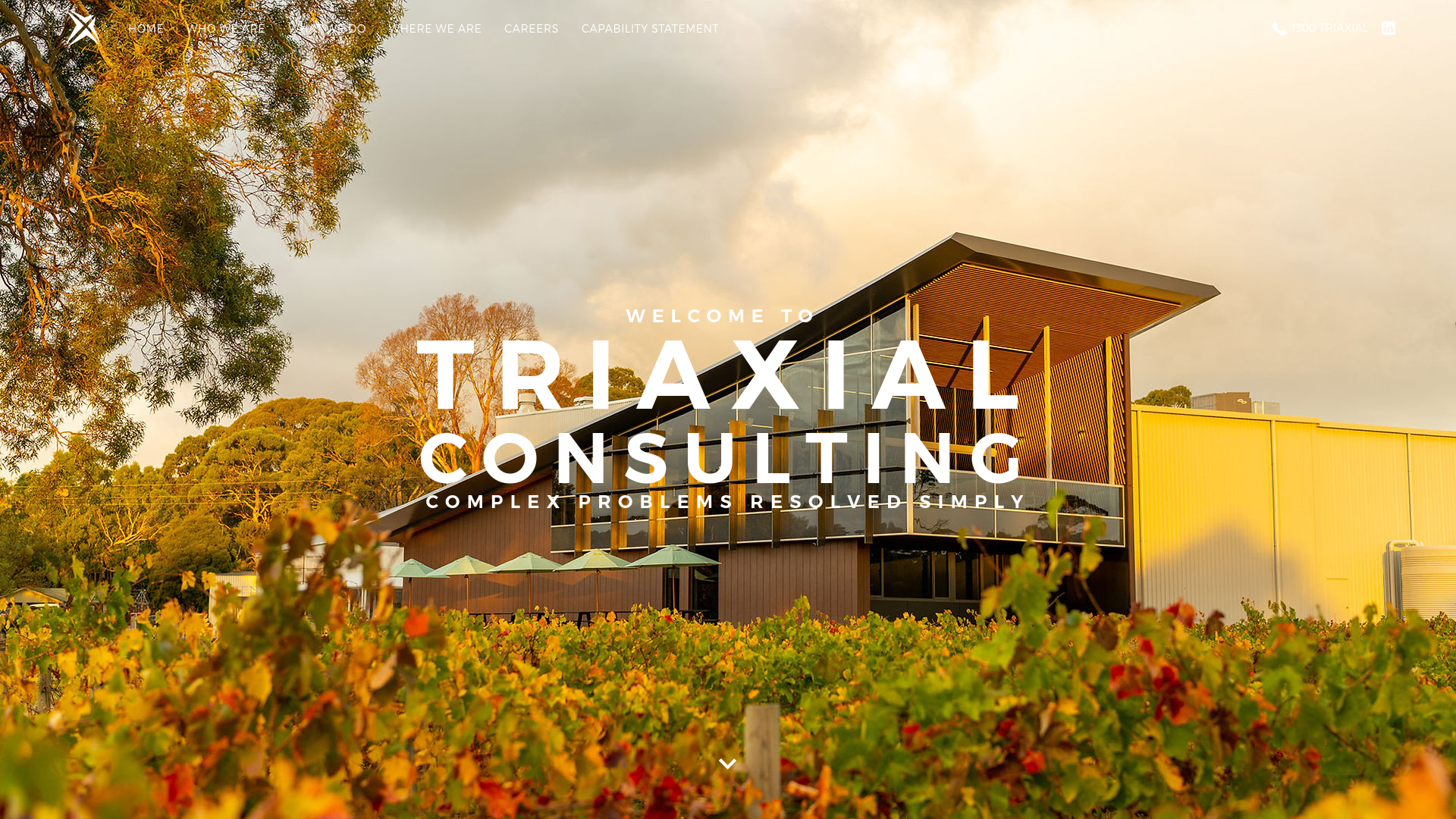 website screenshot of https://vurupucumresourcesnet.click