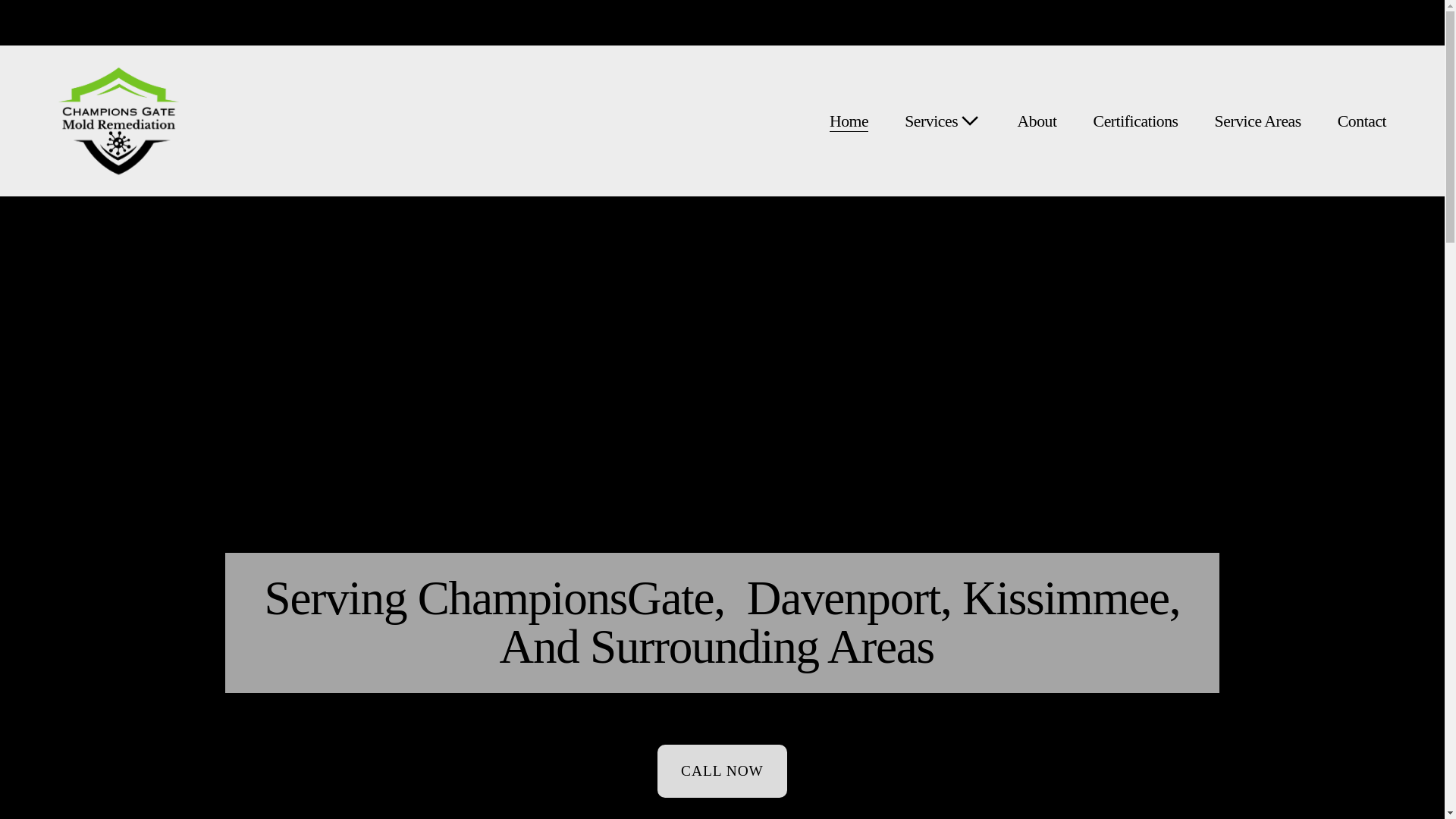 website screenshot of https://championsgatemold.com/