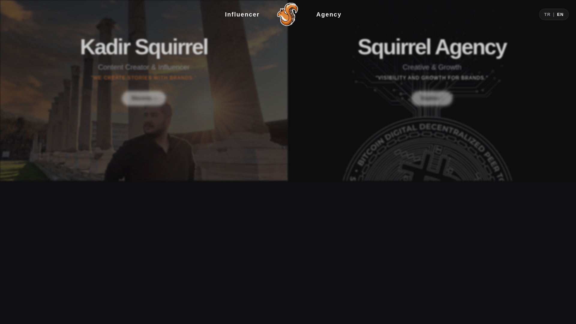website screenshot of https://kadirsquirrel.com/