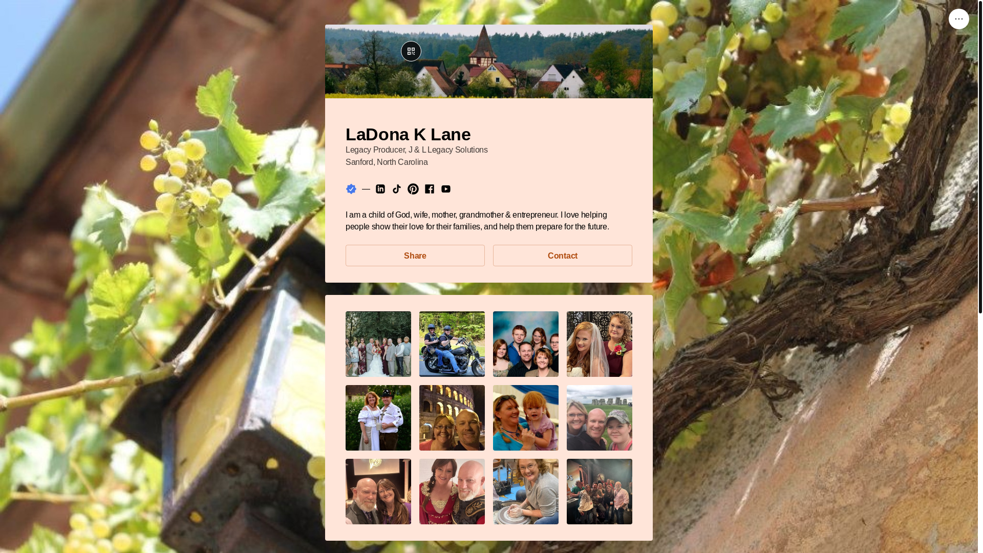 website screenshot of https://ladonaklane.link/