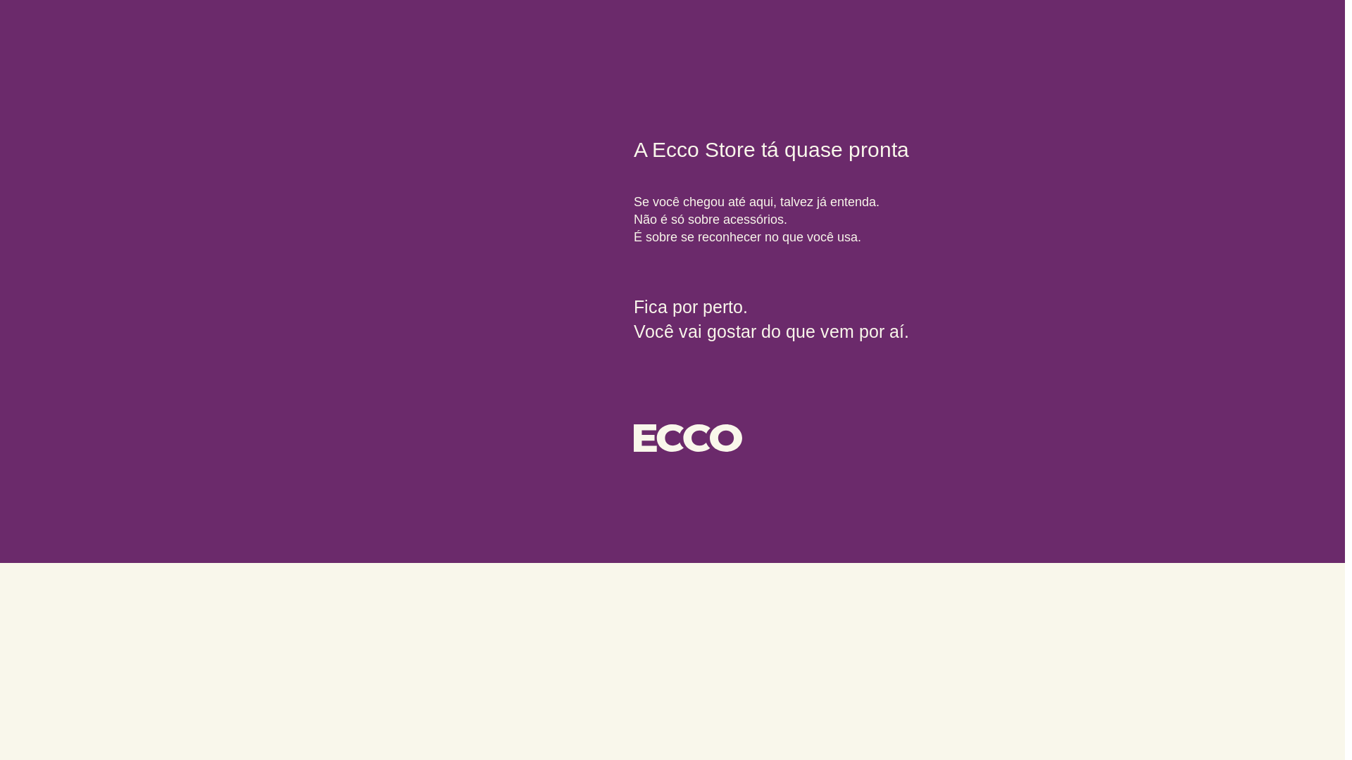 website screenshot of https://eccostore.com.br/