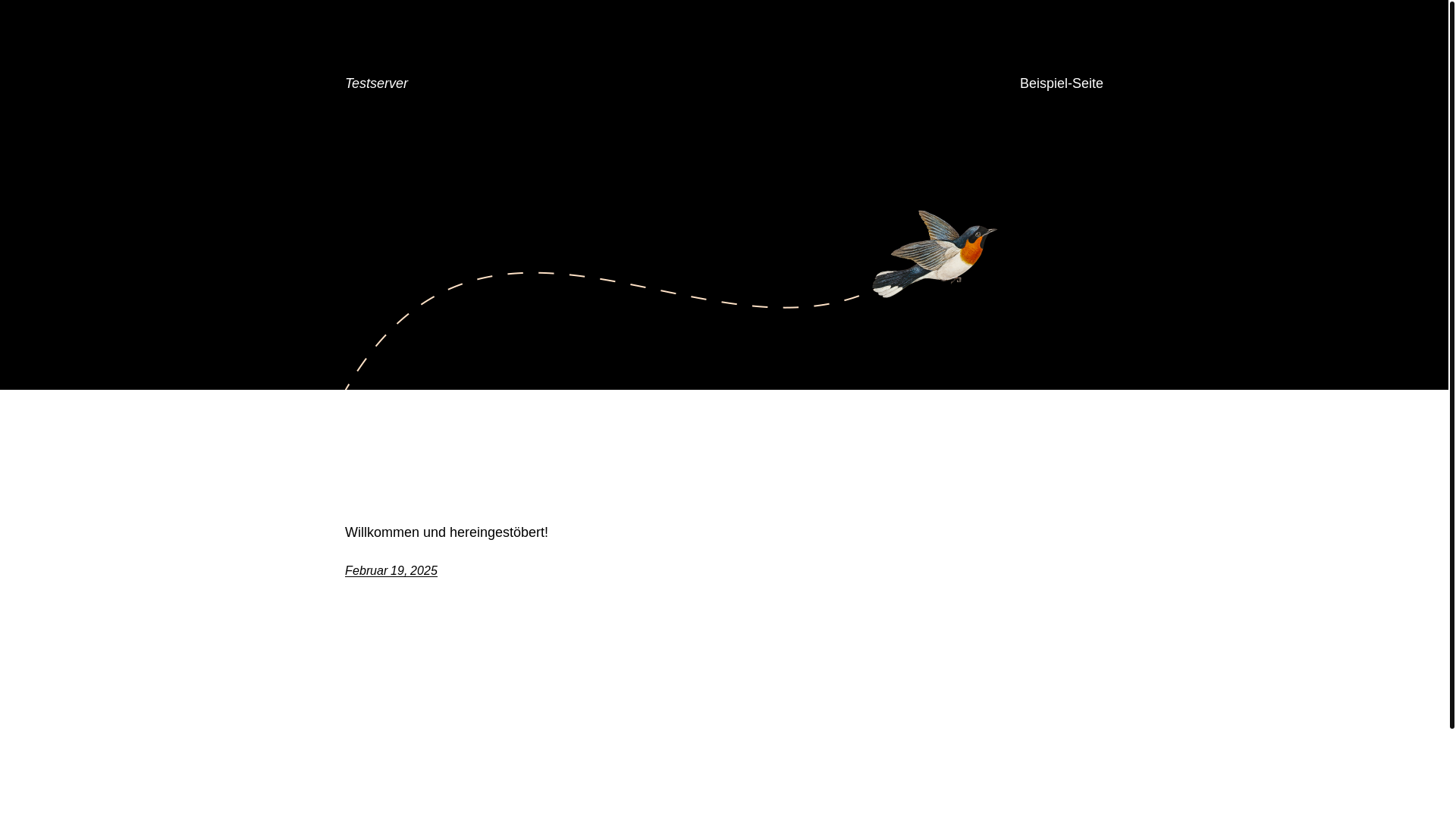 website screenshot of https://nadine-huber.com/
