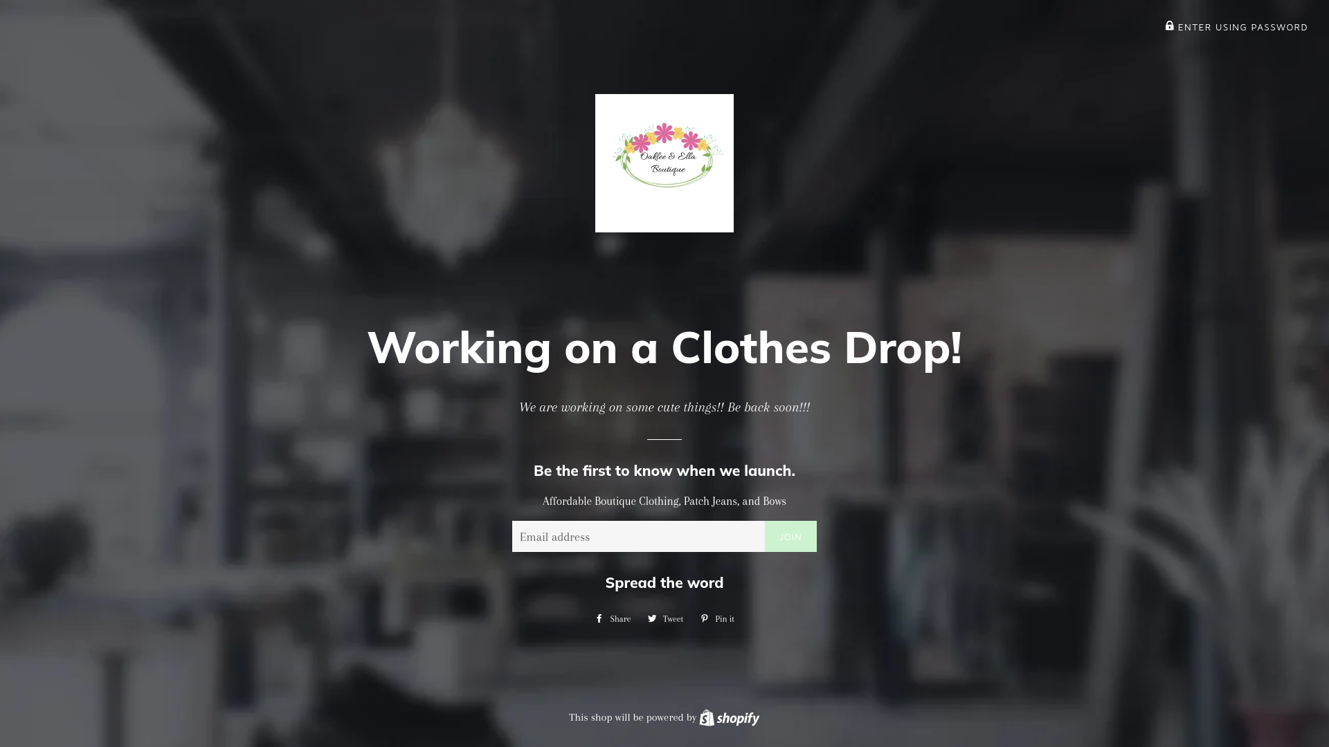 website screenshot of https://threelittlebloomsboutique.com/