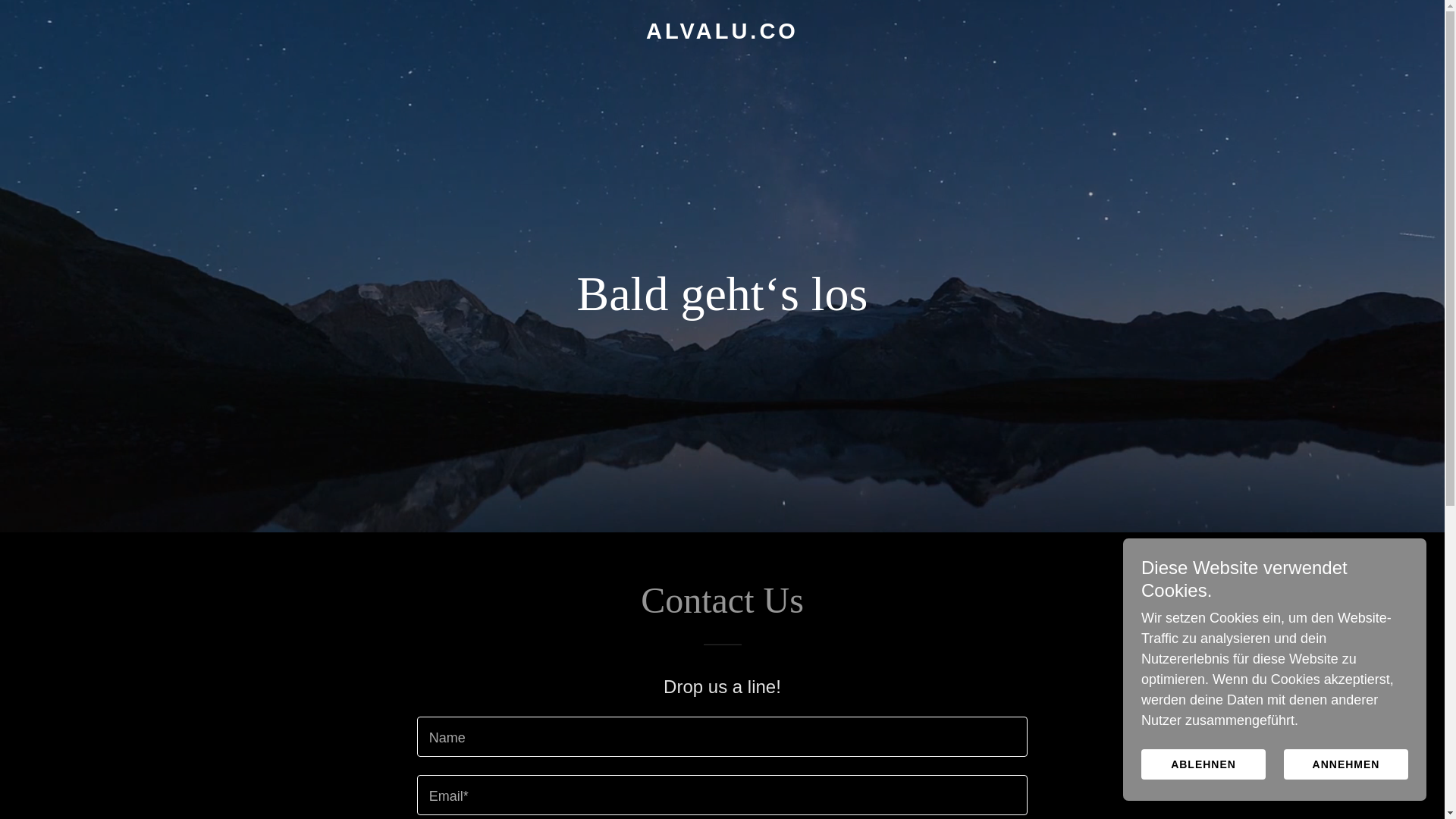 website screenshot of https://alvalu.co/