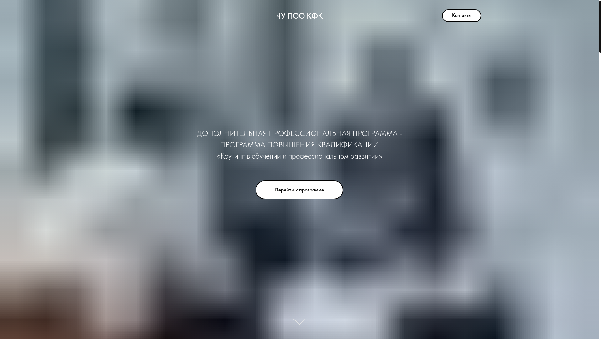 website screenshot of https://chupookfk.ru/