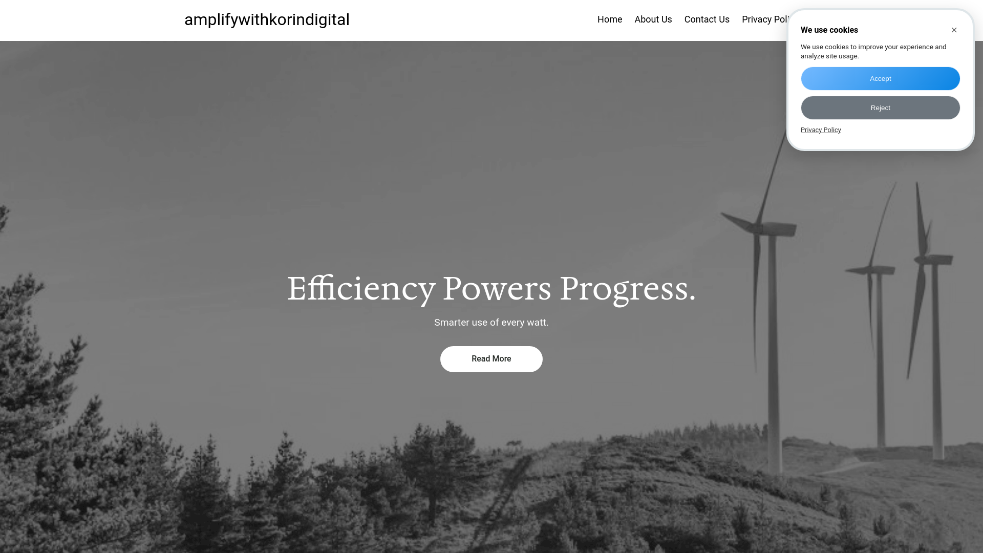 website screenshot of https://amplifywithkorin.digital/