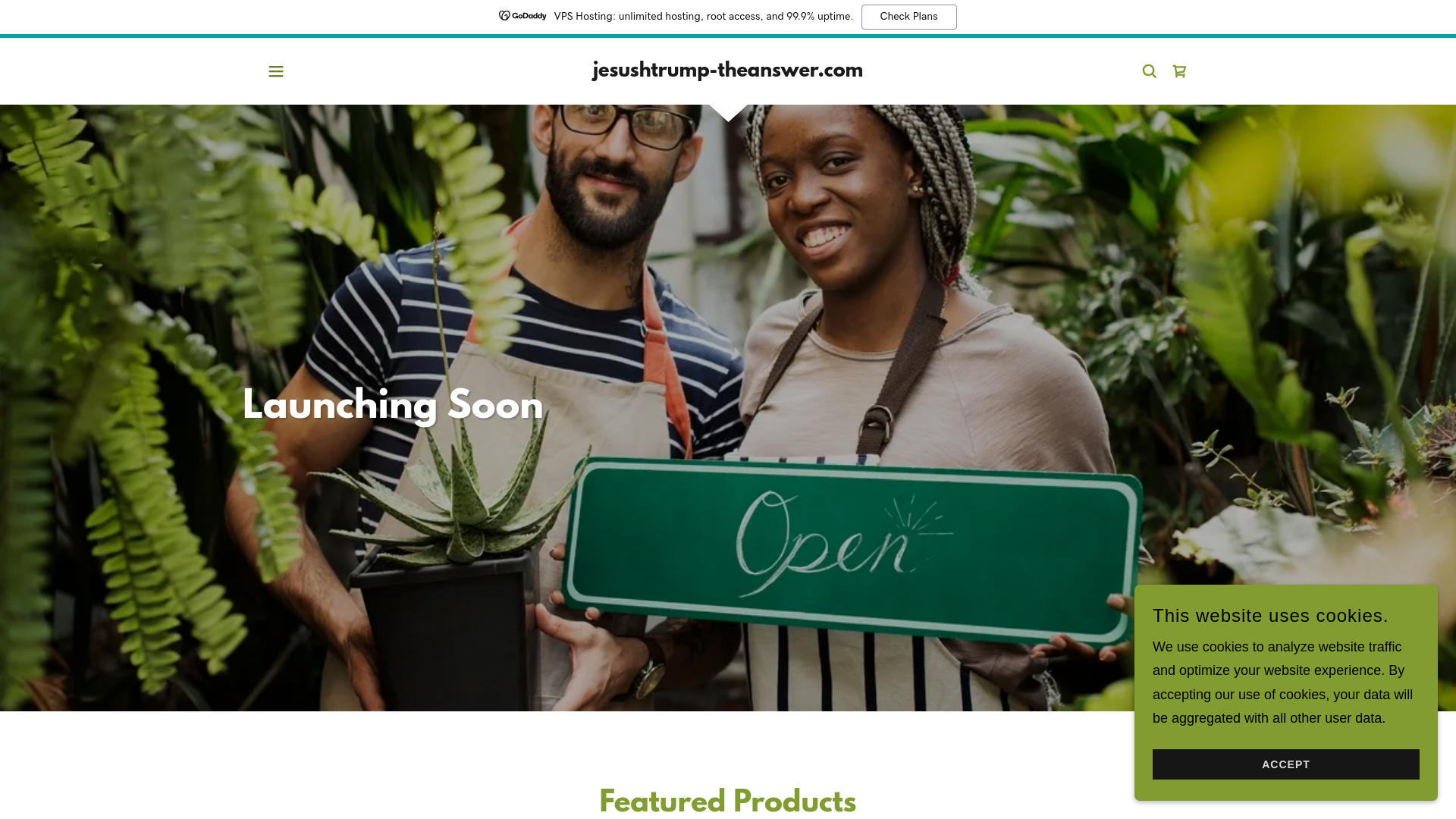 website screenshot of https://jesushtrump-theanswer.com/