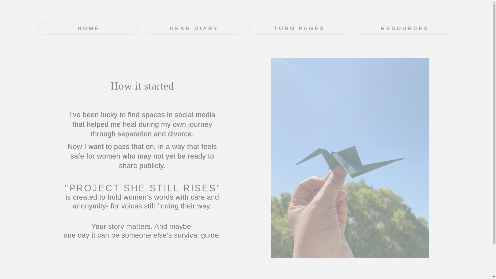 website screenshot of https://projectshestillrises.com/