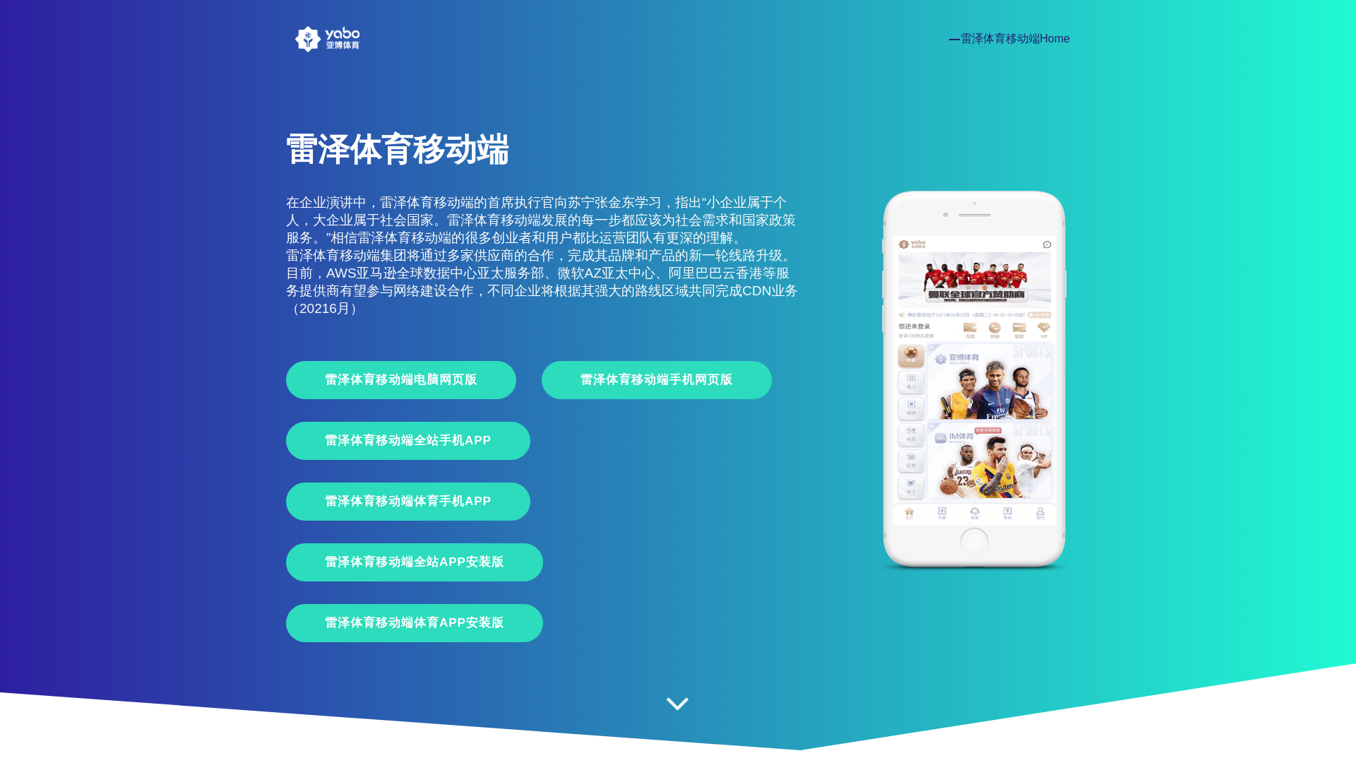 website screenshot of https://leize32.com