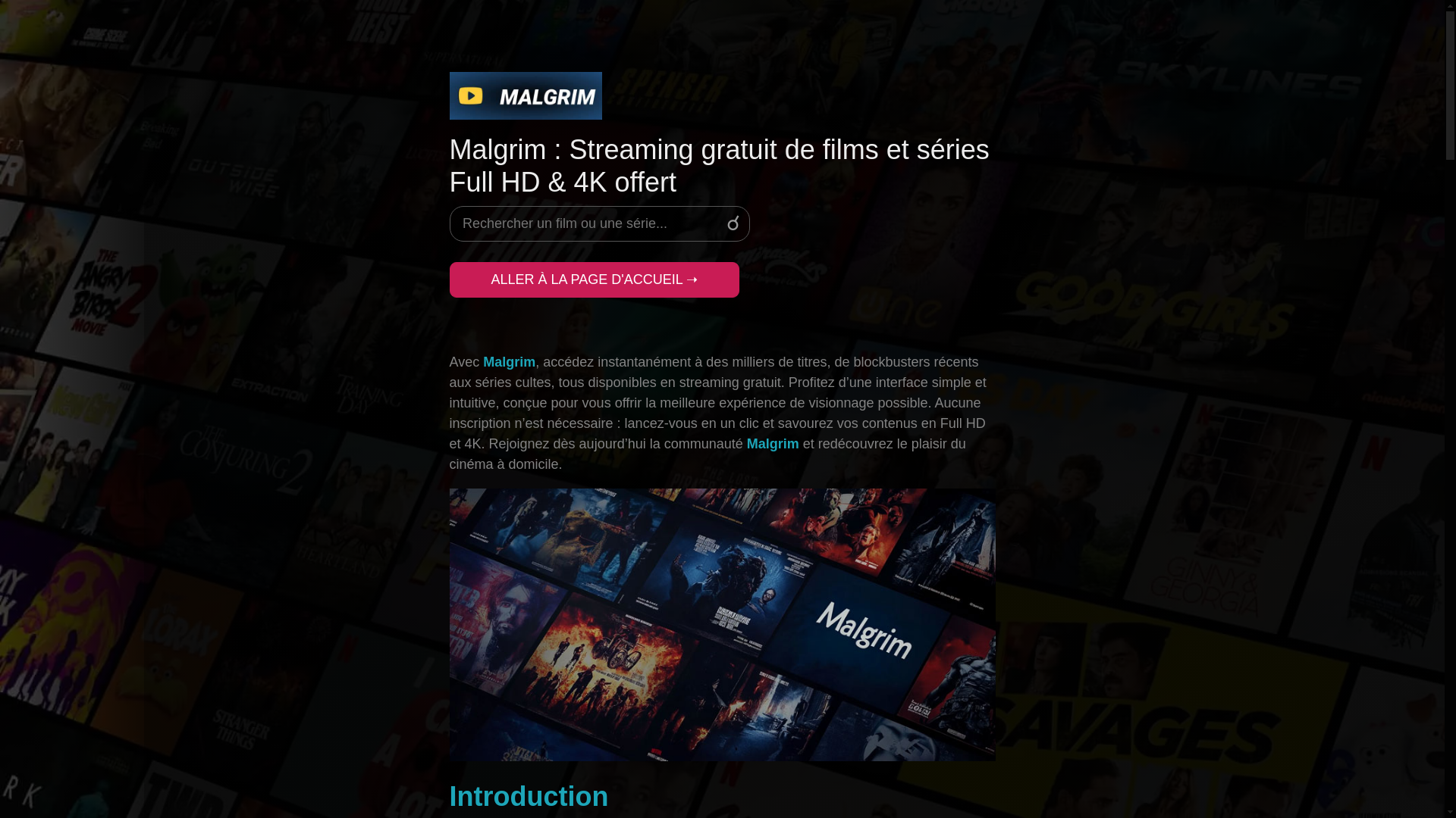 website screenshot of https://malgrim-sa-com-ak8.pages.dev/