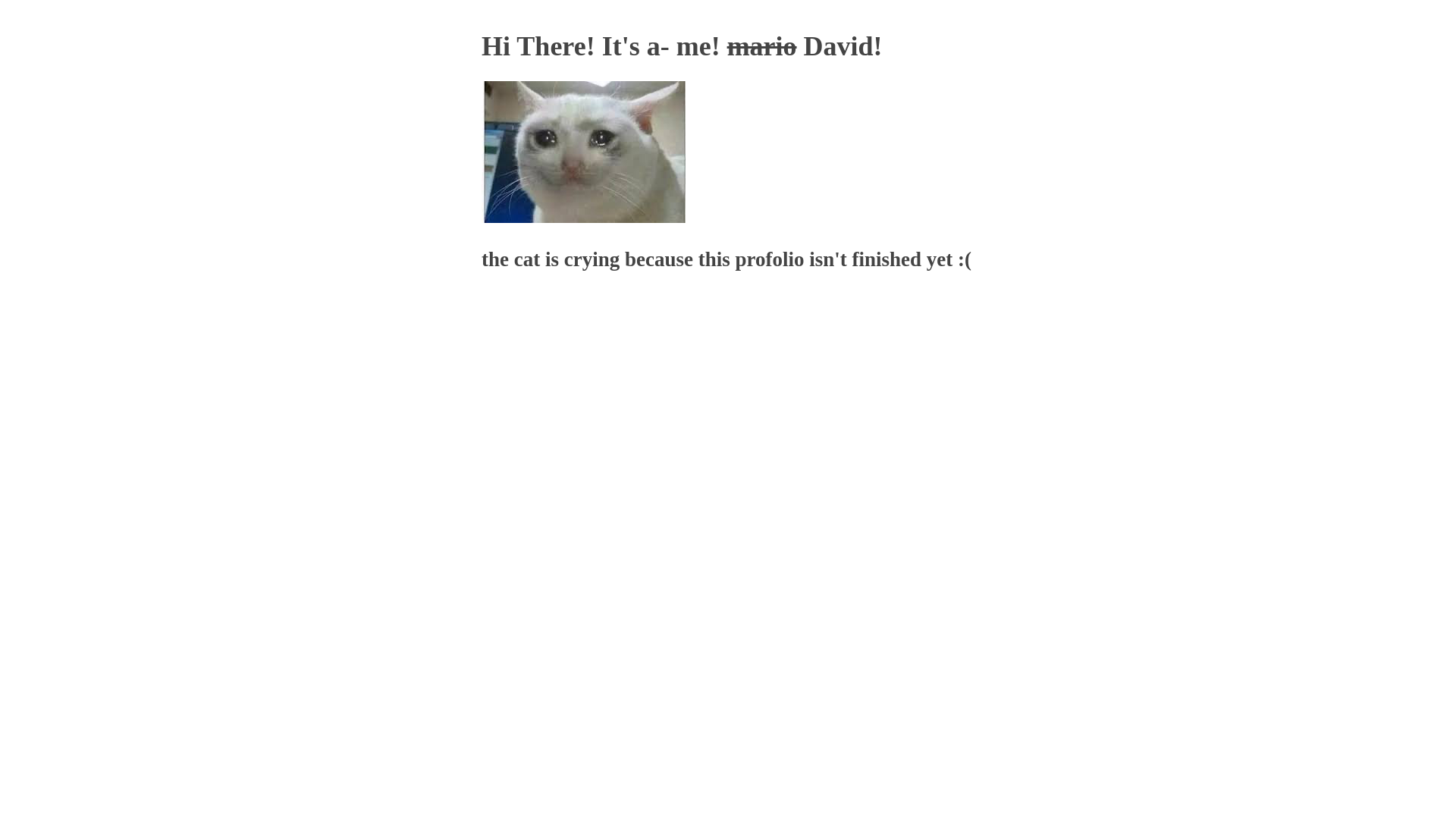 website screenshot of https://me-davidmaor-com.pages.dev/