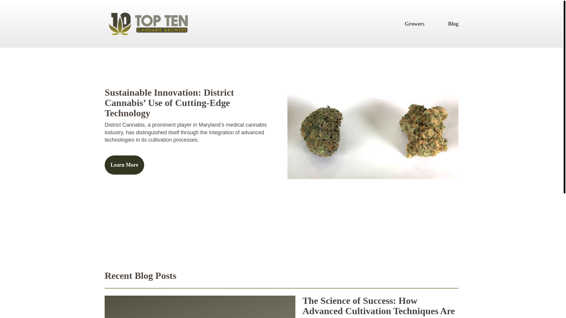 website screenshot of https://toptencannabisgrowers-com.pages.dev/