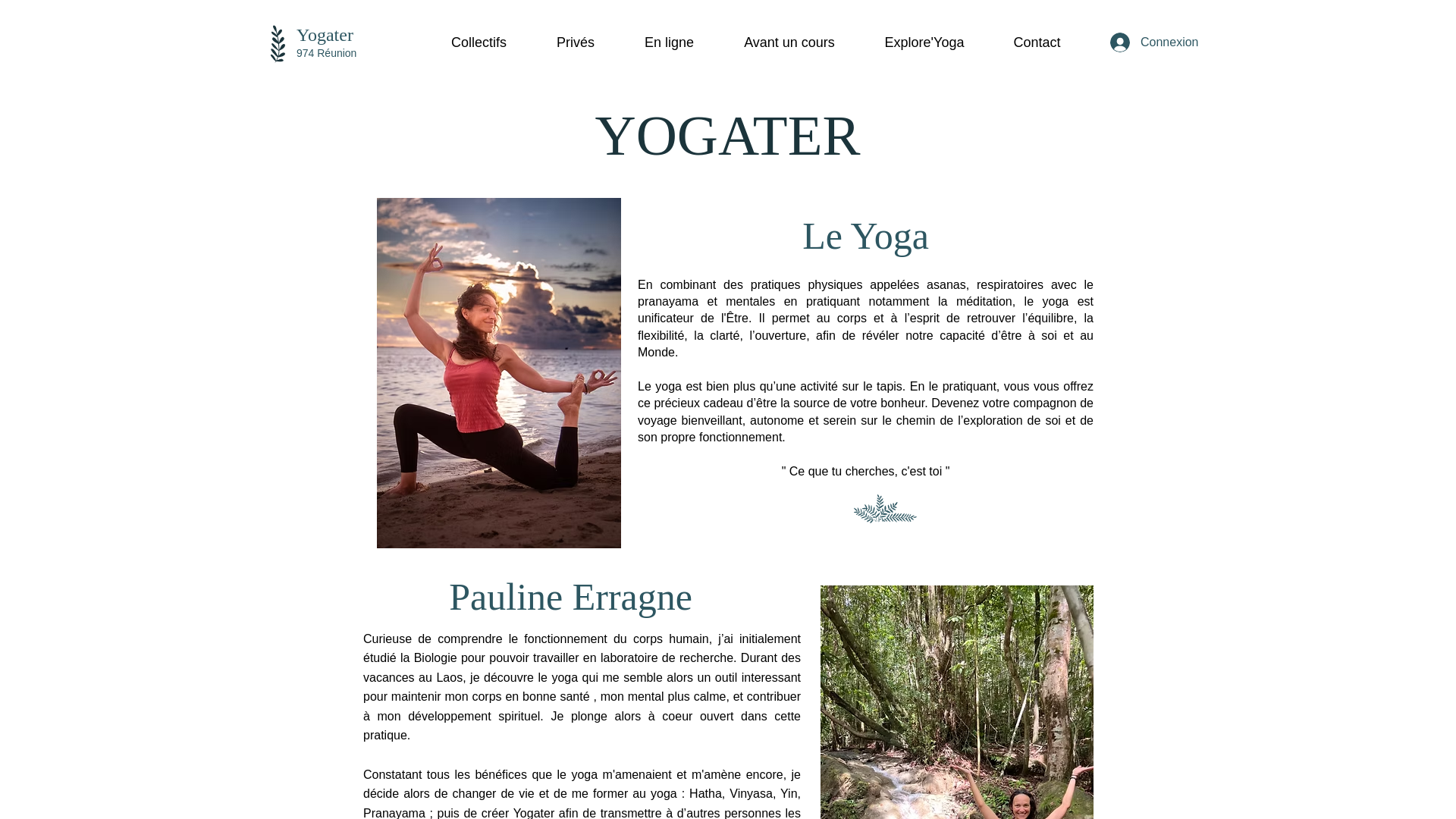 website screenshot of https://chemindusentir.com