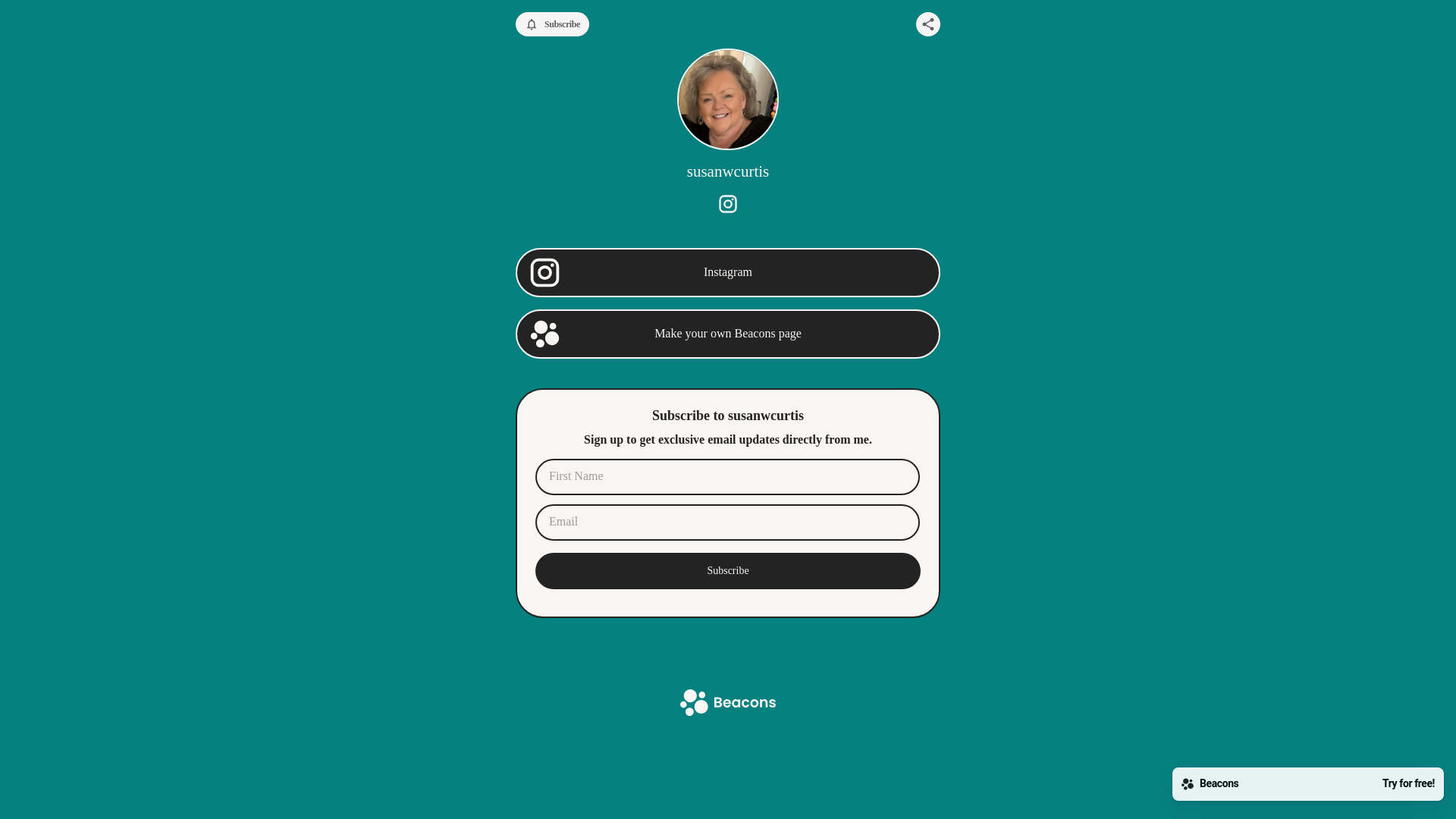 website screenshot of https://susanwcurtis.store/