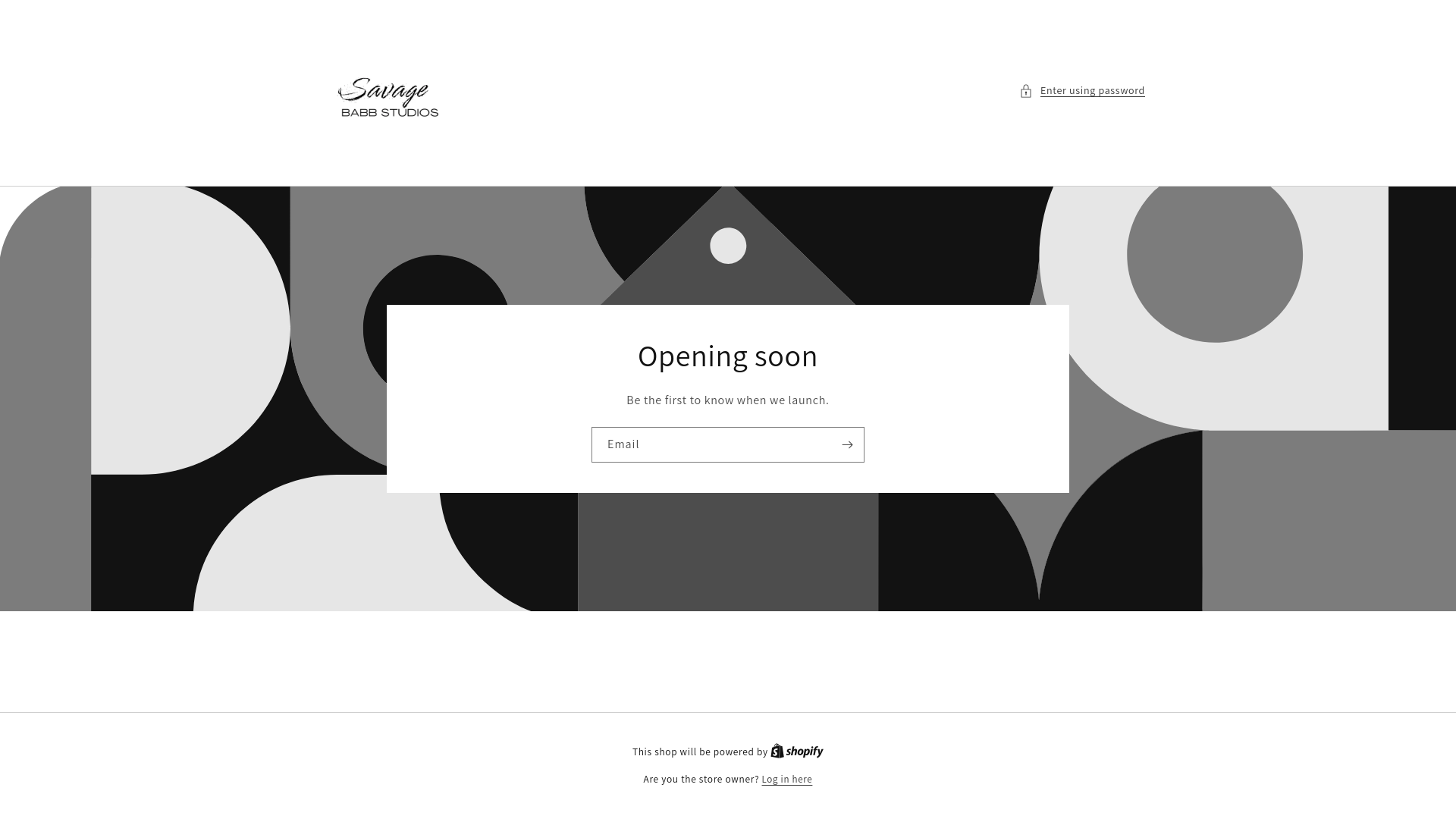 website screenshot of https://savagebabbstudios.com/