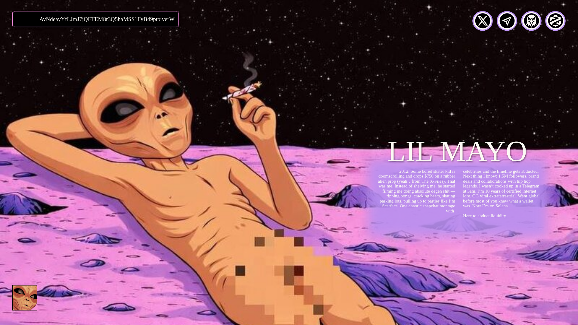 website screenshot of https://lilmayo.wtf/