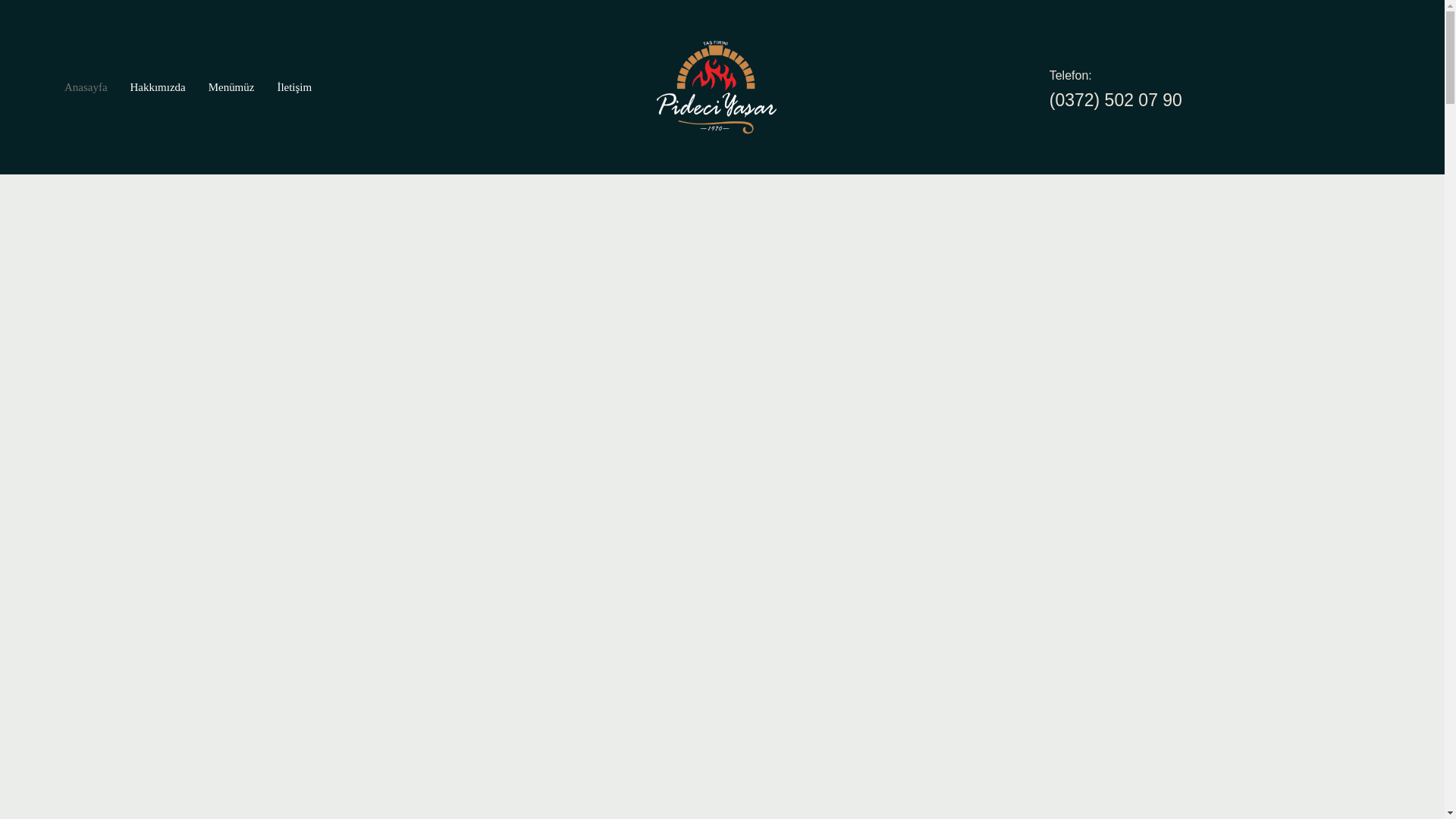 website screenshot of https://pideciyasar.com.tr/