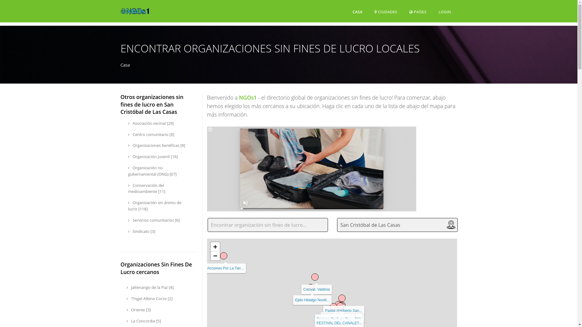 website screenshot of https://ngos1.com/