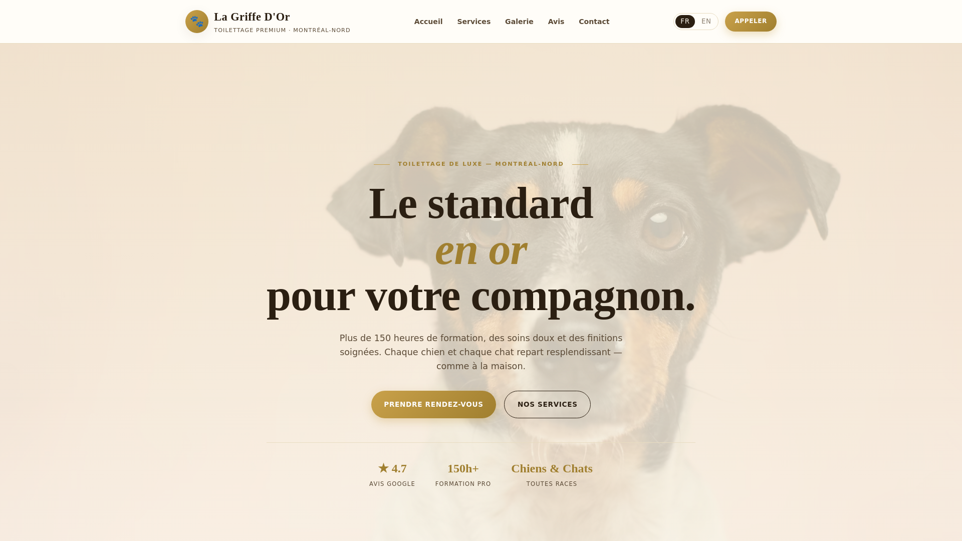 website screenshot of https://toilettagelagriffedor.pages.dev/
