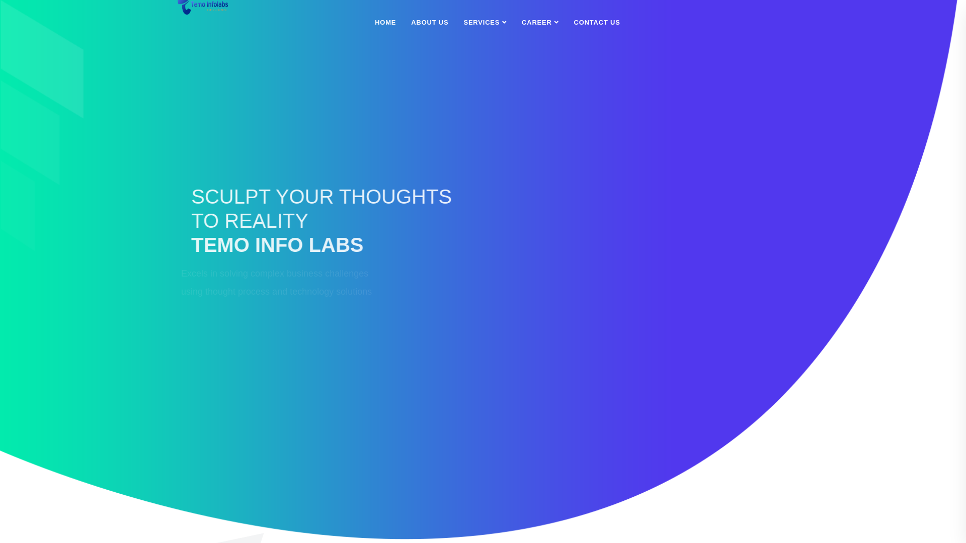 website screenshot of https://temoinfolabs.co.in