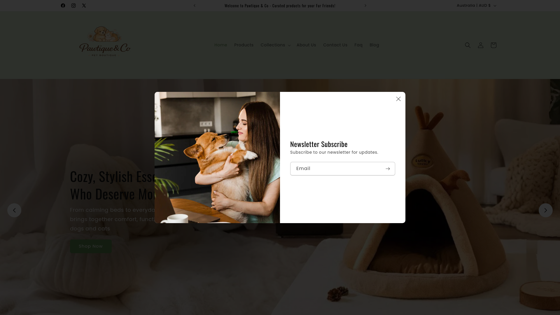 website screenshot of https://pawtiqueandco.com/