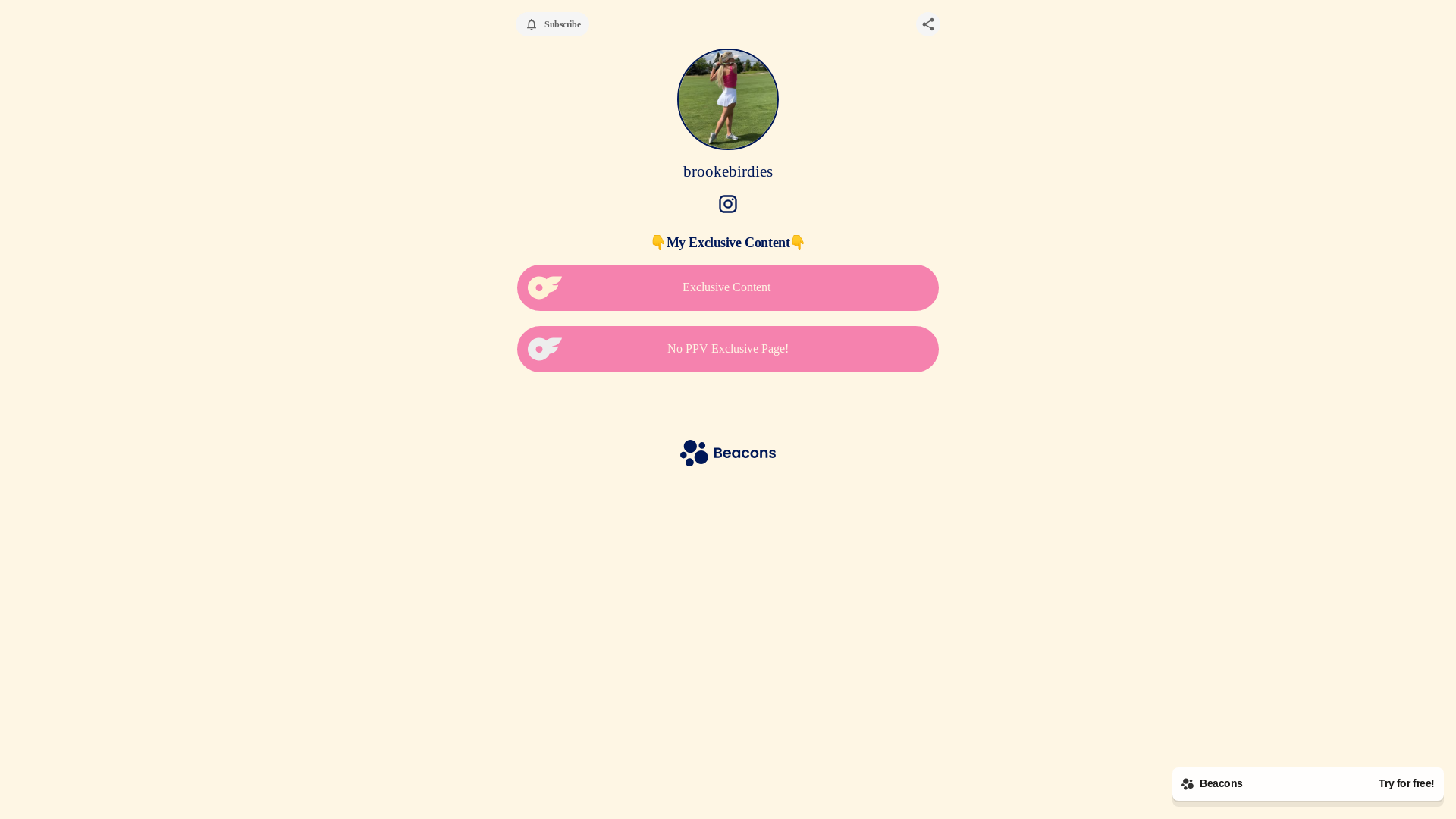 website screenshot of https://brookebirdies.com/
