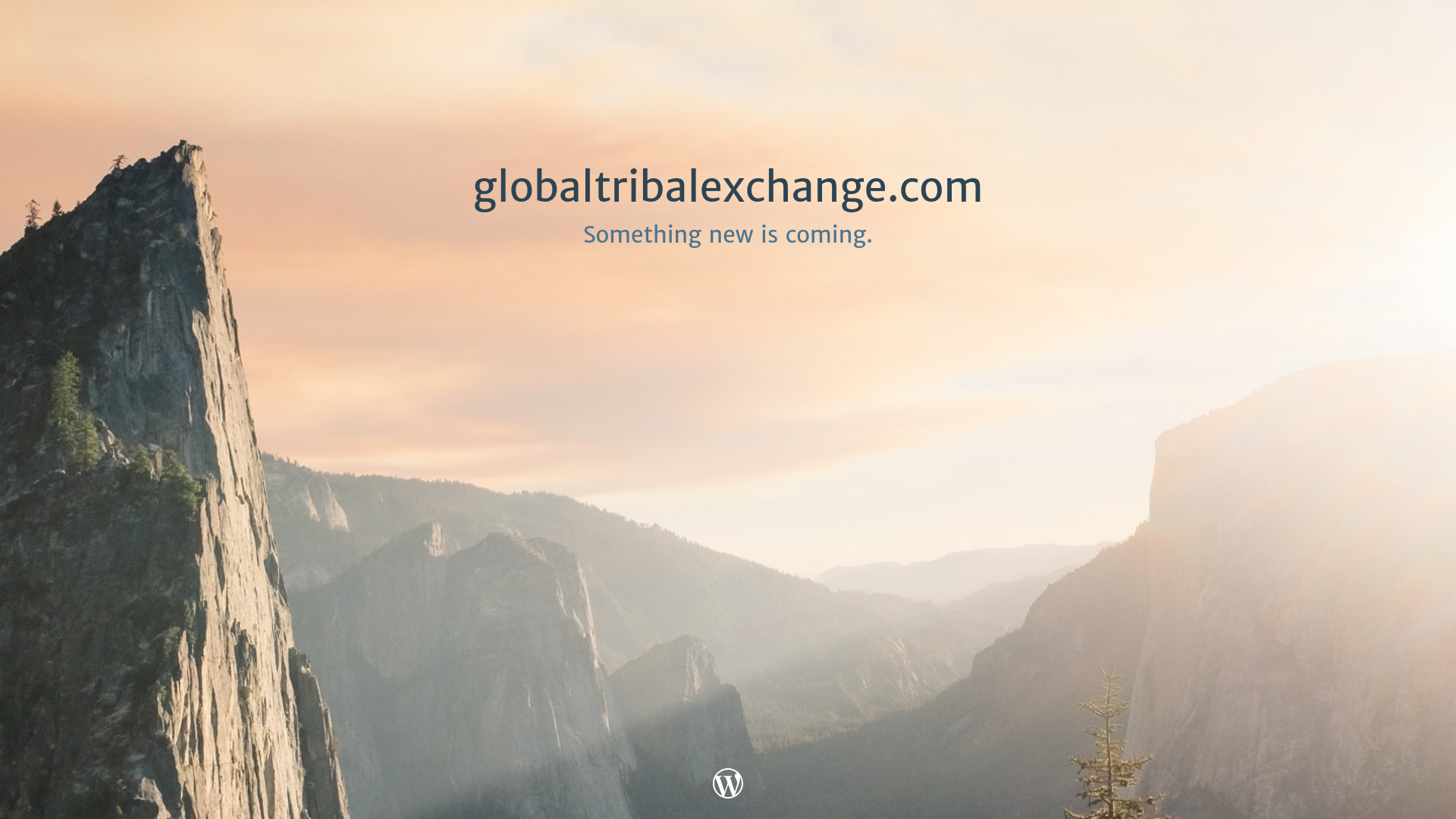 website screenshot of https://globaltribalexchange.com/