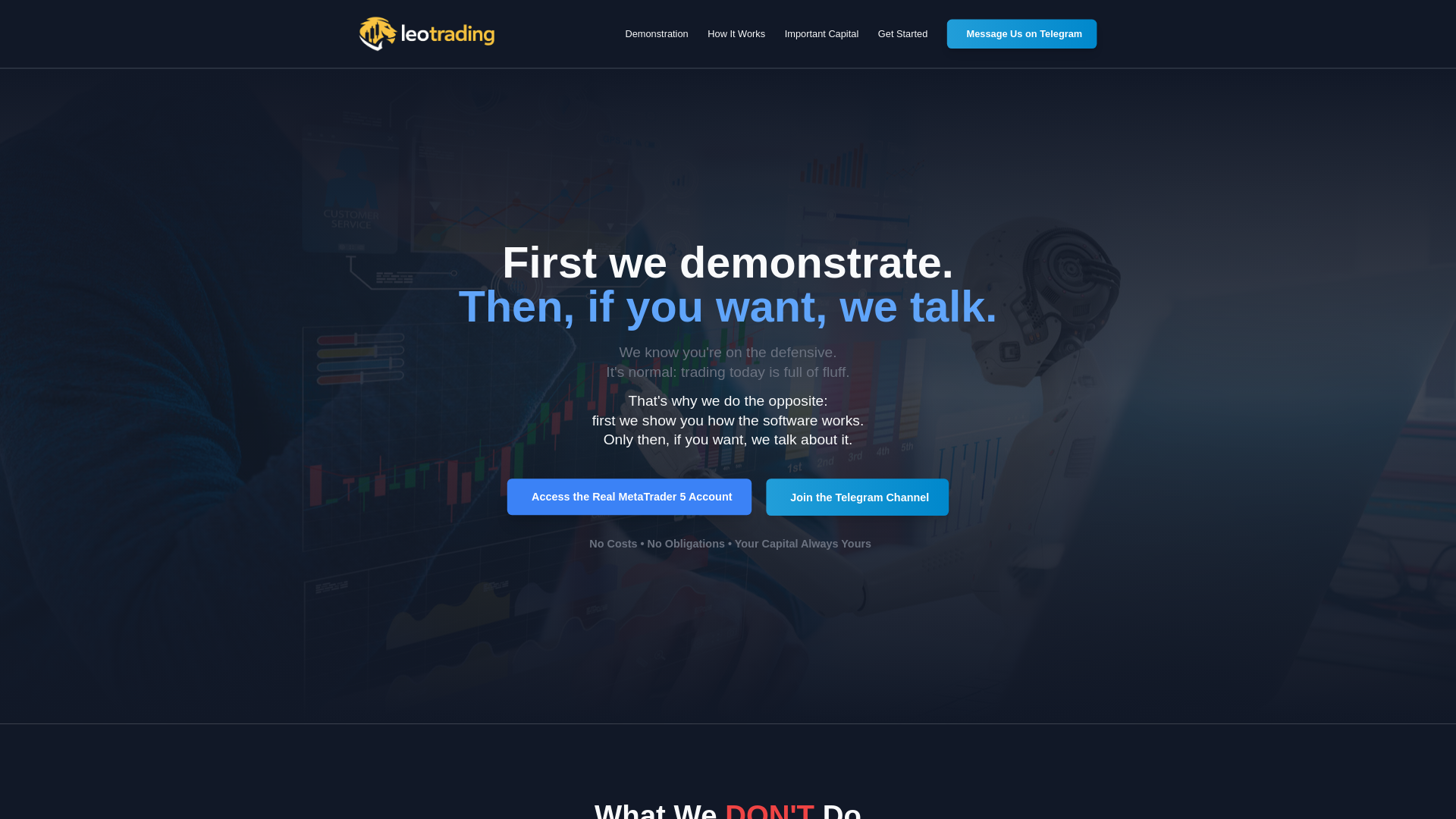 website screenshot of https://leonardosoftwaretrading.com/