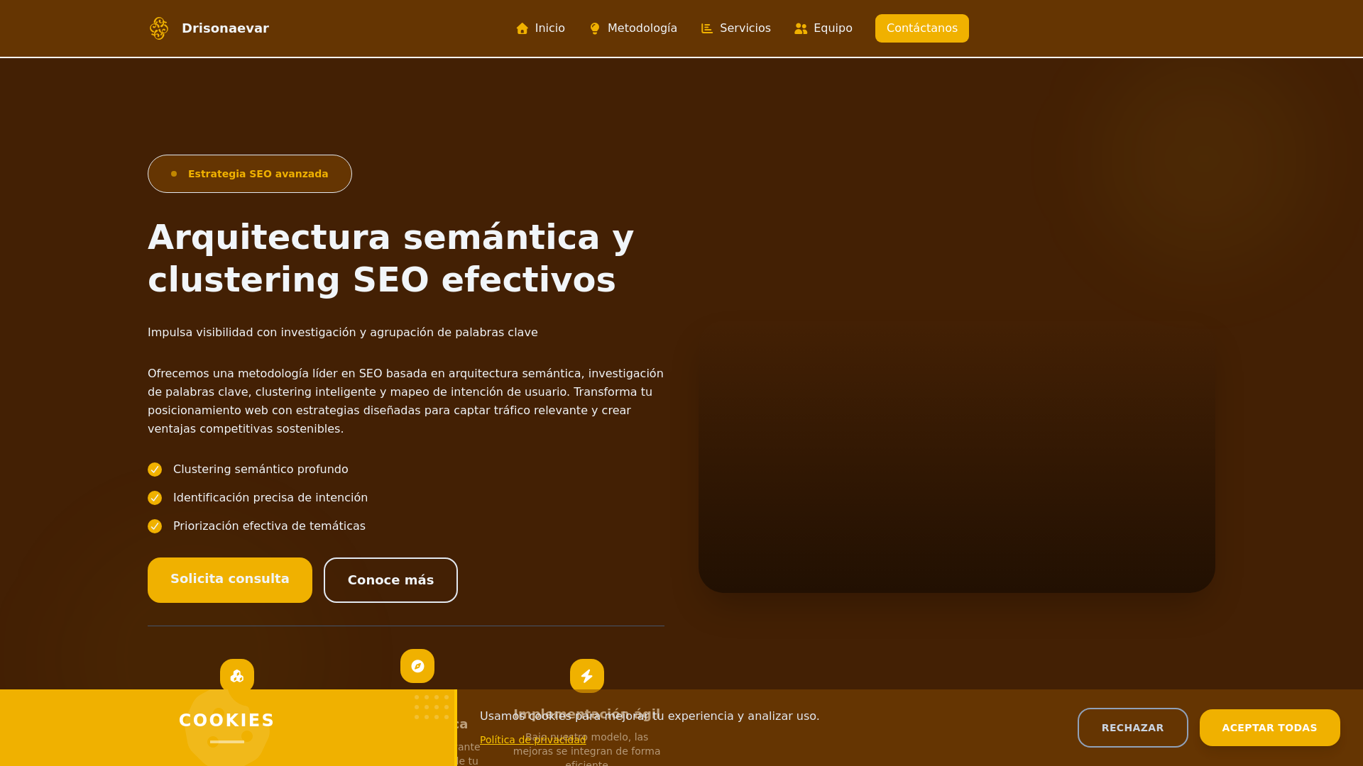 website screenshot of https://drisonaevar.com